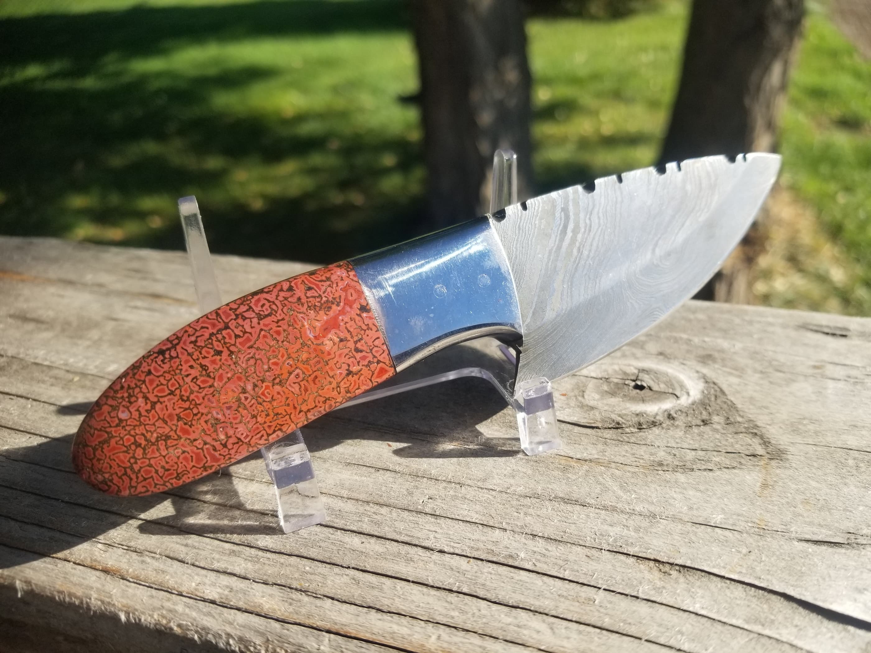 Awesome Dinosaur Gem Bone Handle Damascus Fixed Knife with Leather Sheath - 3" Blade x 3.25" Handle