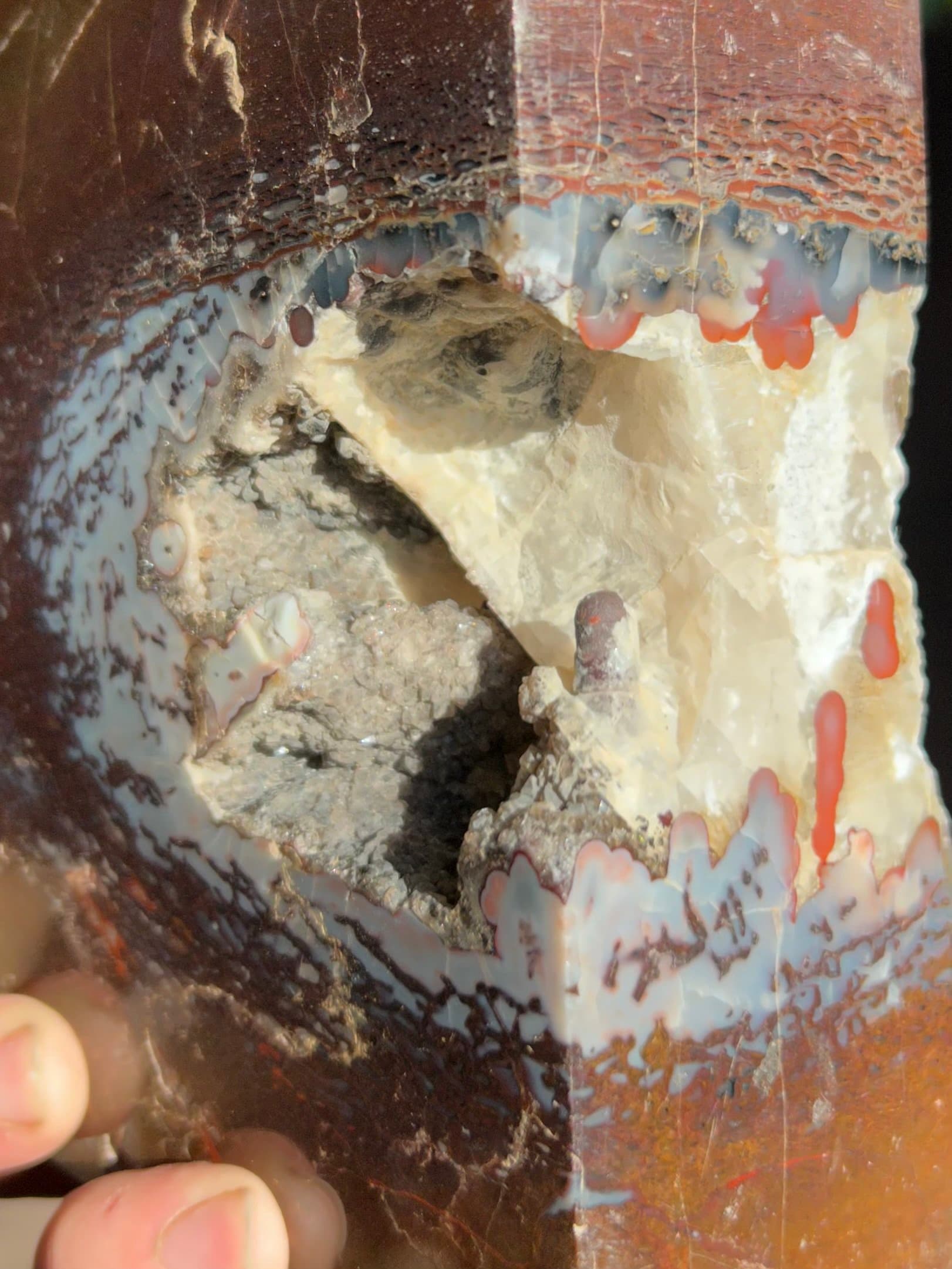 Beautiful Large Polished Agatized Dinosaur Gem Bone Section w/Crystal Core - 5.6lbs Jurassic, CO