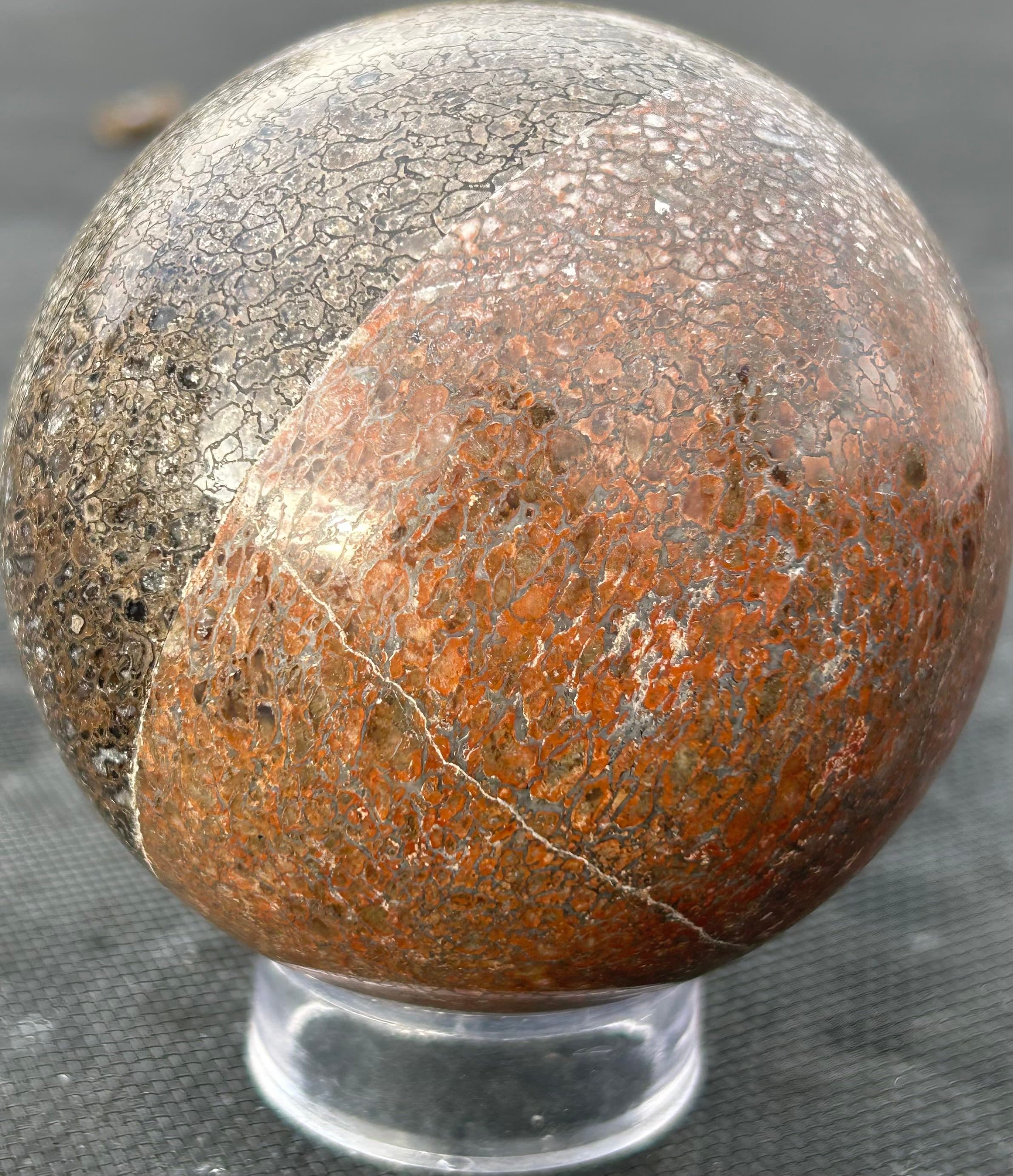 Incredible 2 Tone Agatized Dinosaur Gem Bone Polished Sphere 3.5" 2.4Lb