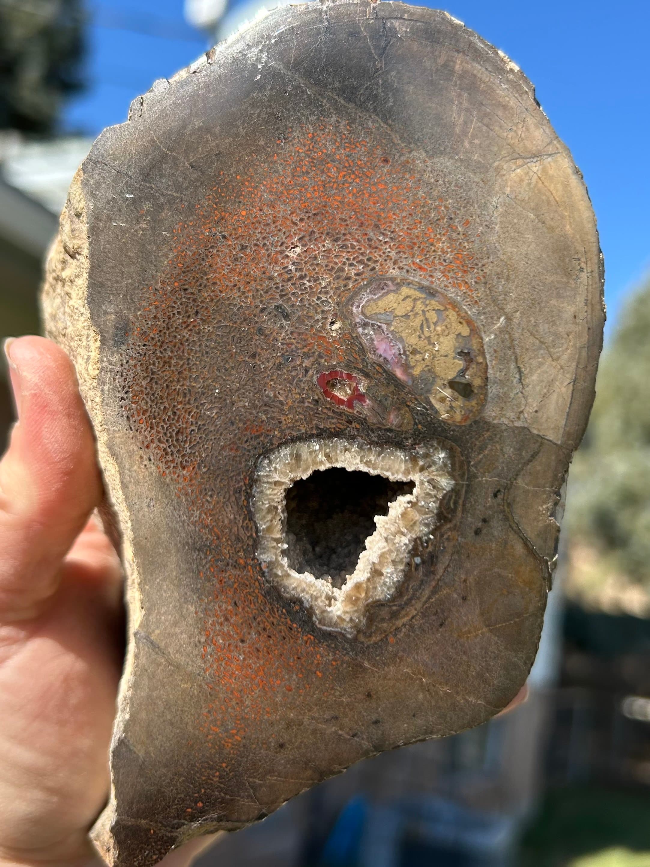 Interesting Polished Agatized Dinosaur Gem Bone Specimen w/Druzy Crystal Core - 3.9lbs
