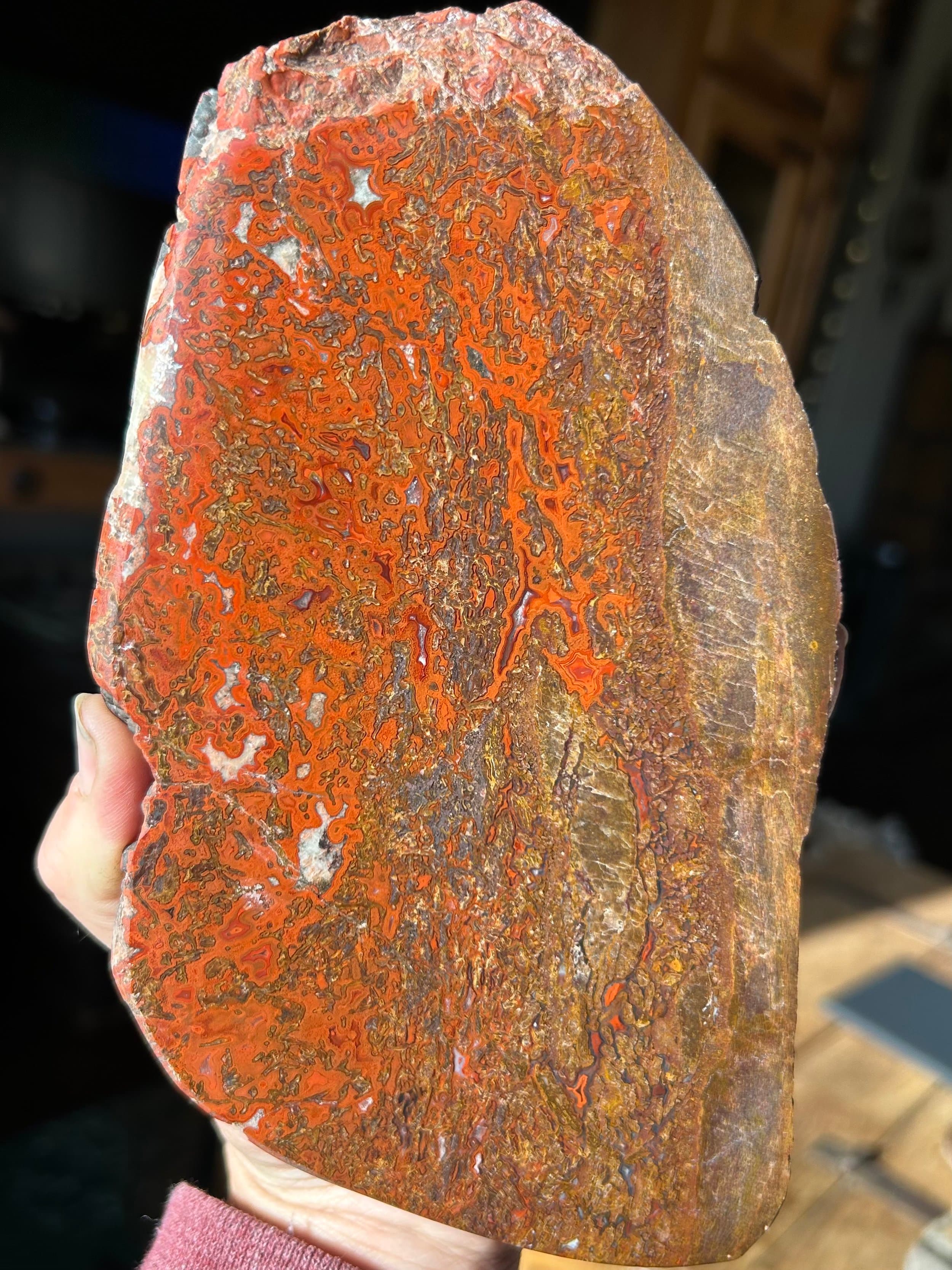 Late Jurassic Dinosaur Gem Bone