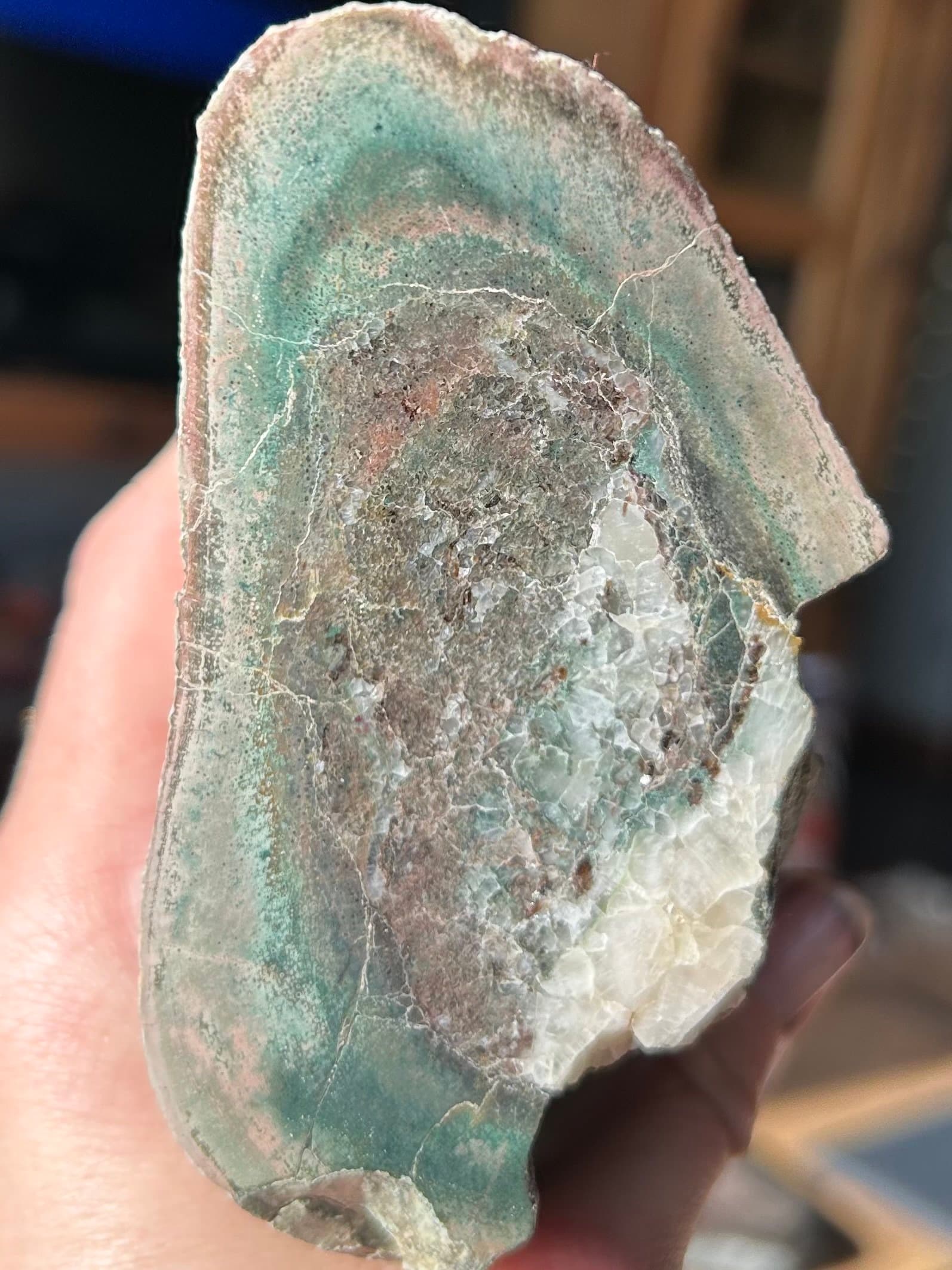 Green Agatized Dinosaur Gem Bone - 1.8lbs