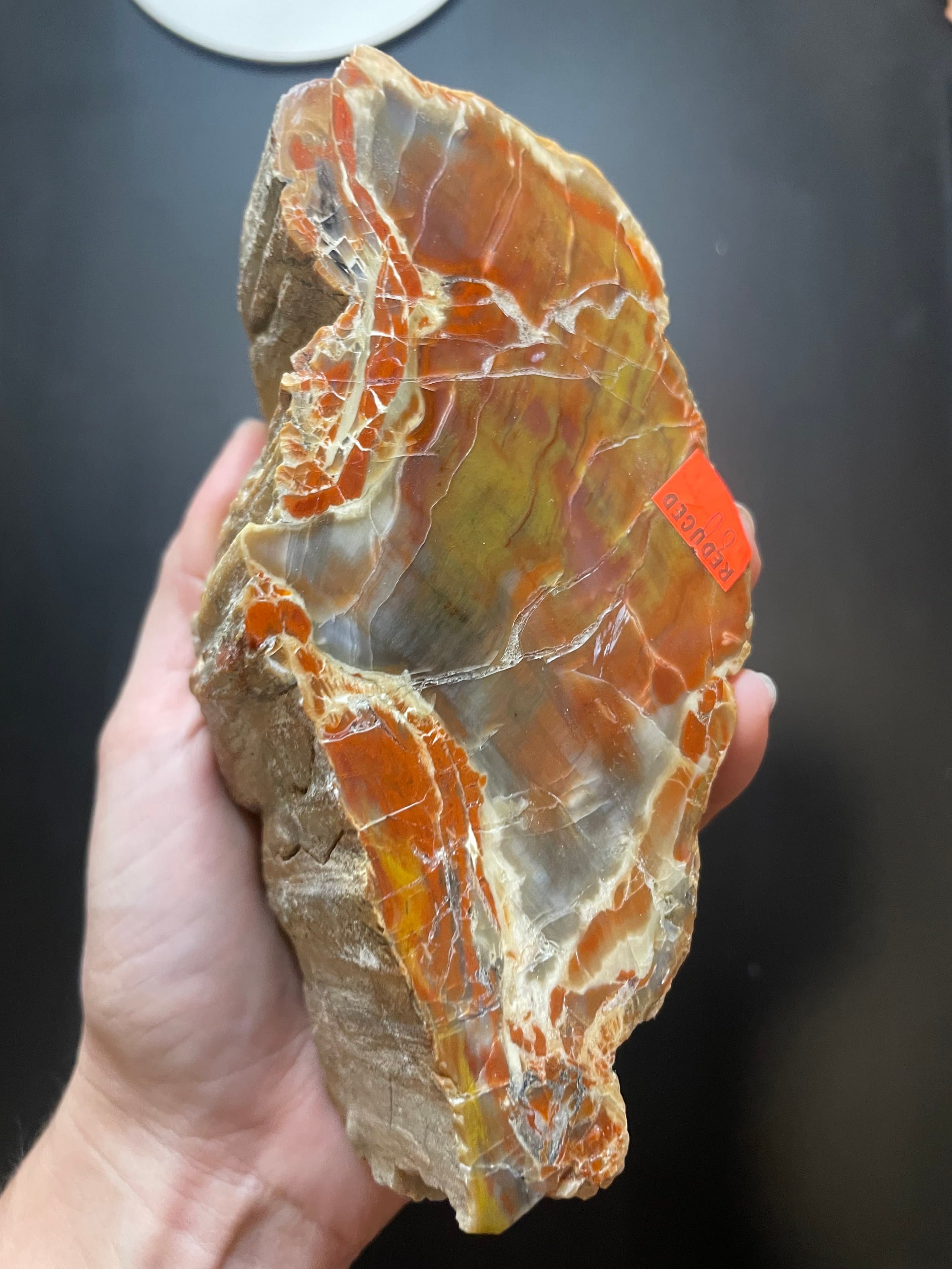 Beautiful Henry Mountains Double End Polished Petrified Wood Round - Morrison Form, Southern UT
