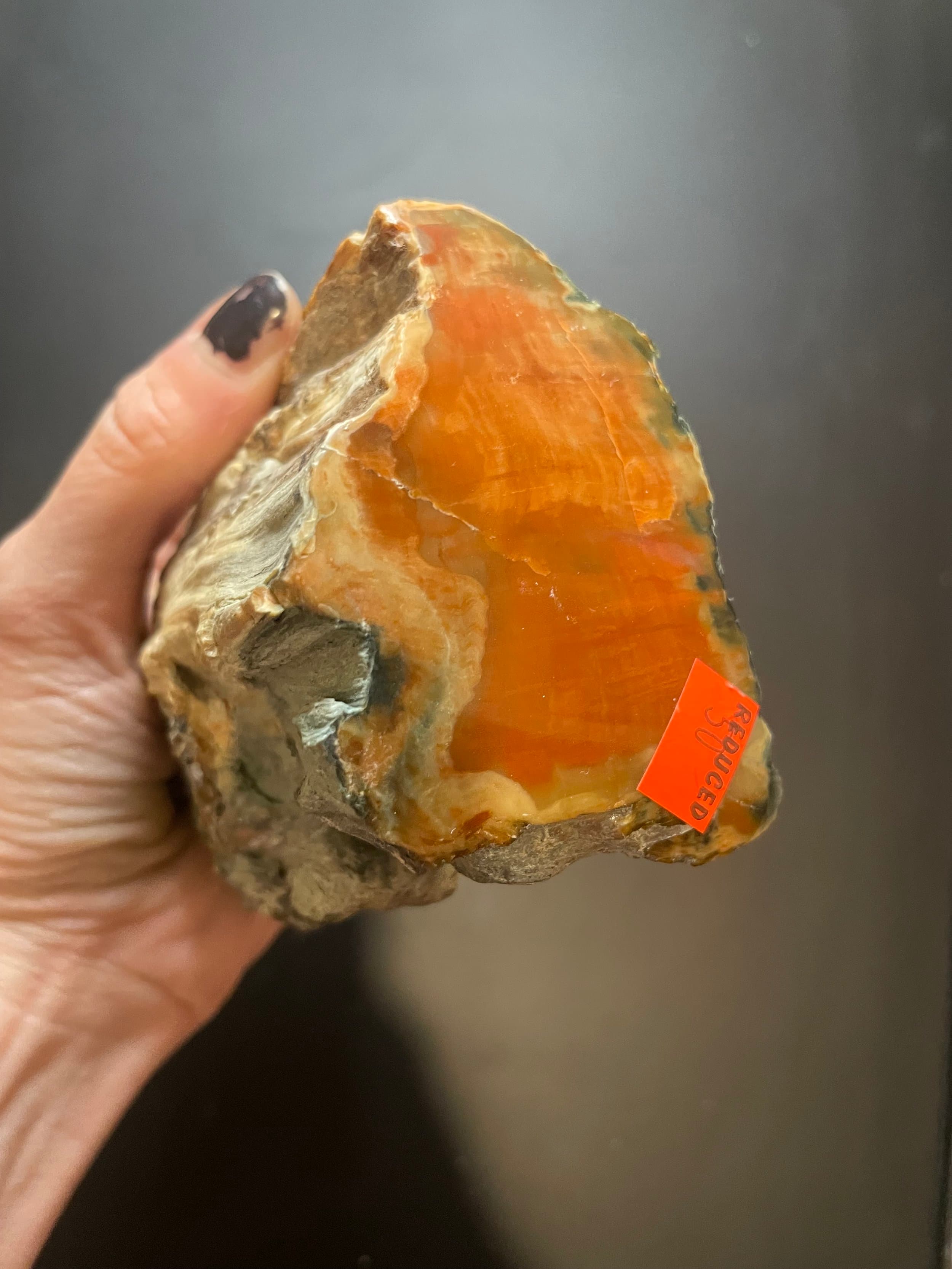 Nice Polished Red Henry Mountains Petrified Wood Limb - Jurassic Era, Southern UT