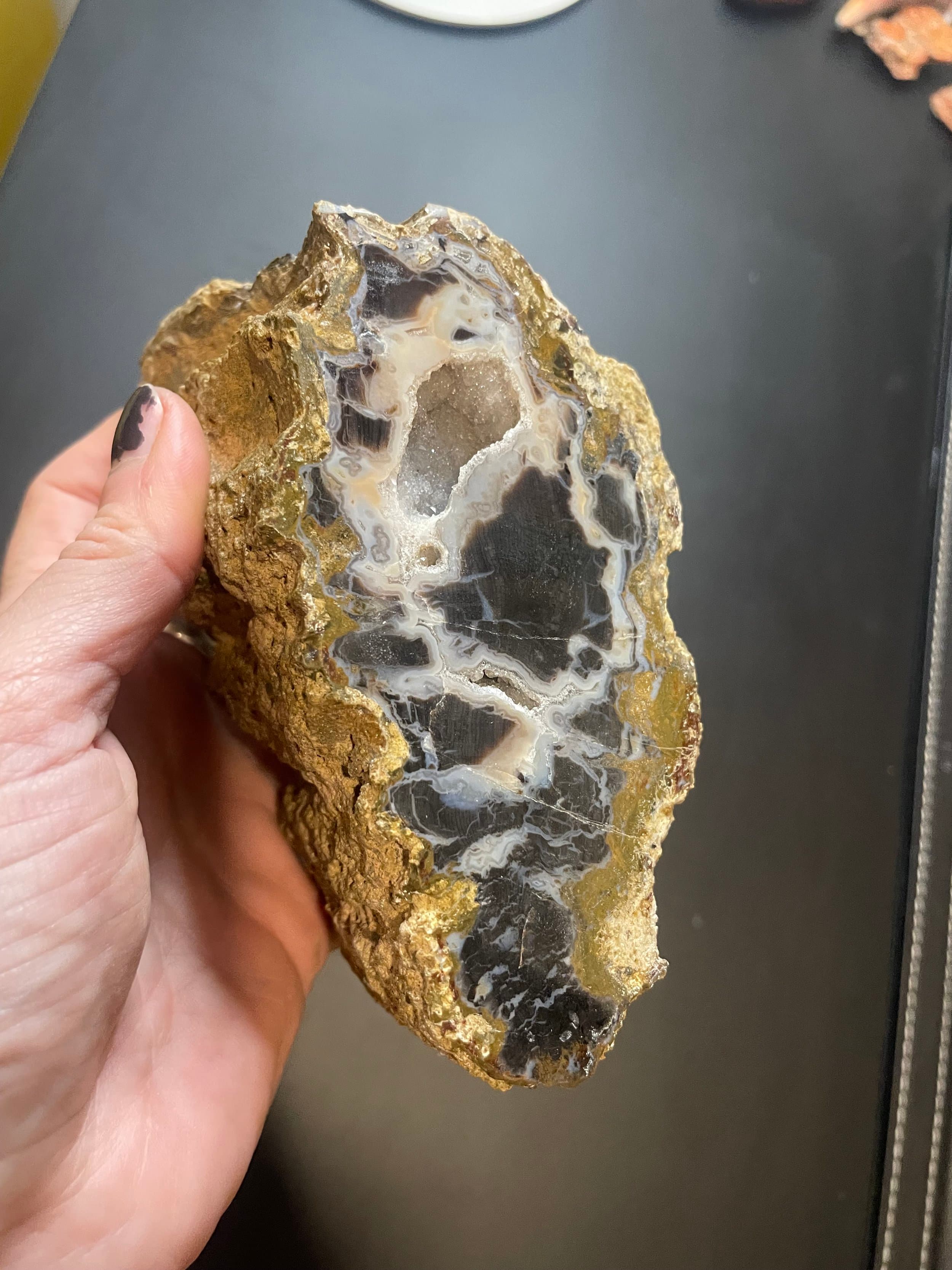 Beautiful Double Polished Henry Mountains Petrified Wood Specimen w/Druzy Crystal Pocket - Southern, UT