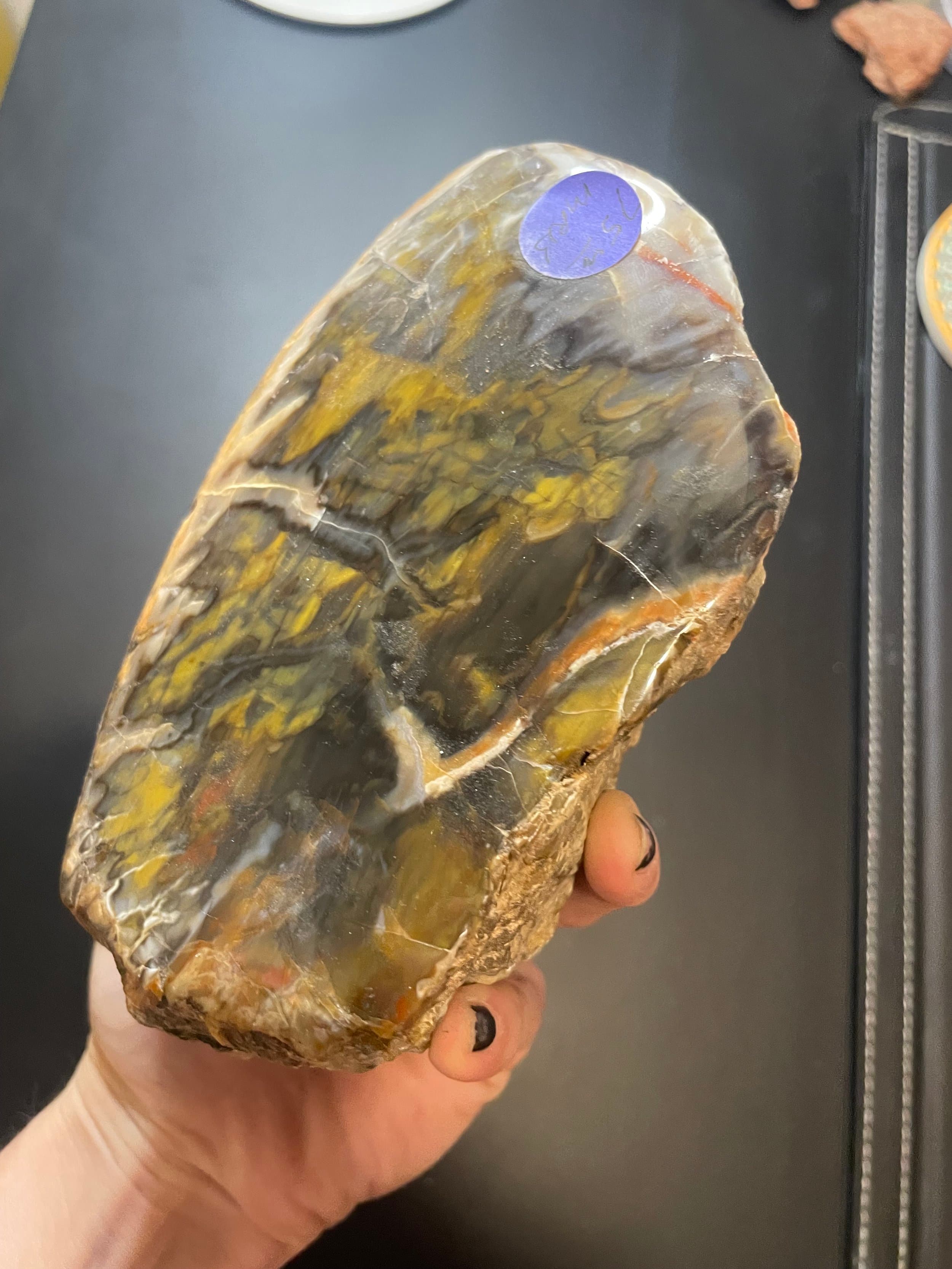 Nice Polished Henry Mountains Petrified Wood Specimen - Jurassic, Southern Utah