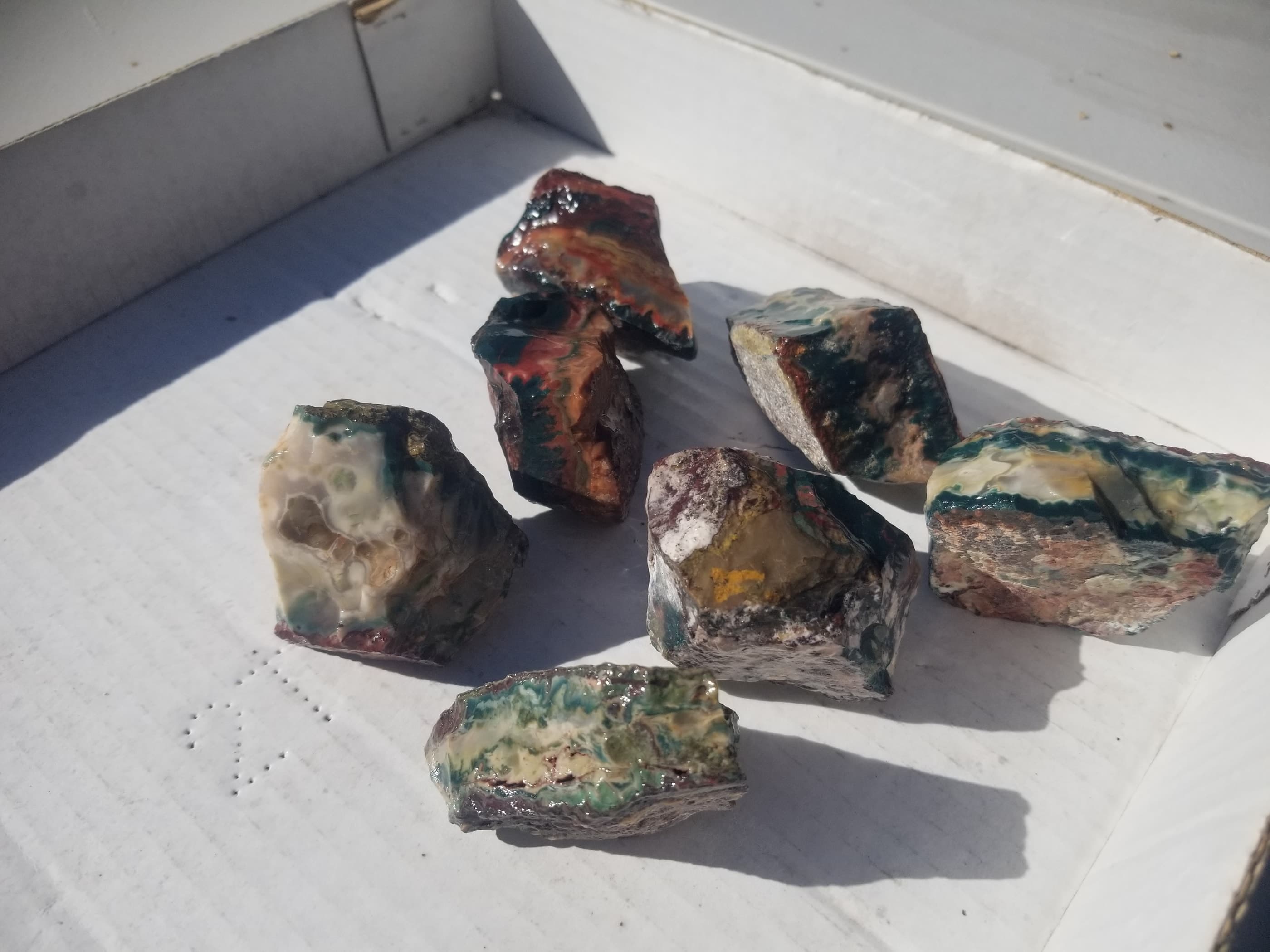 680g Lot Beautiful Idaho Sunset 1st Seam Jasper Agate Rough/Natural 7pc