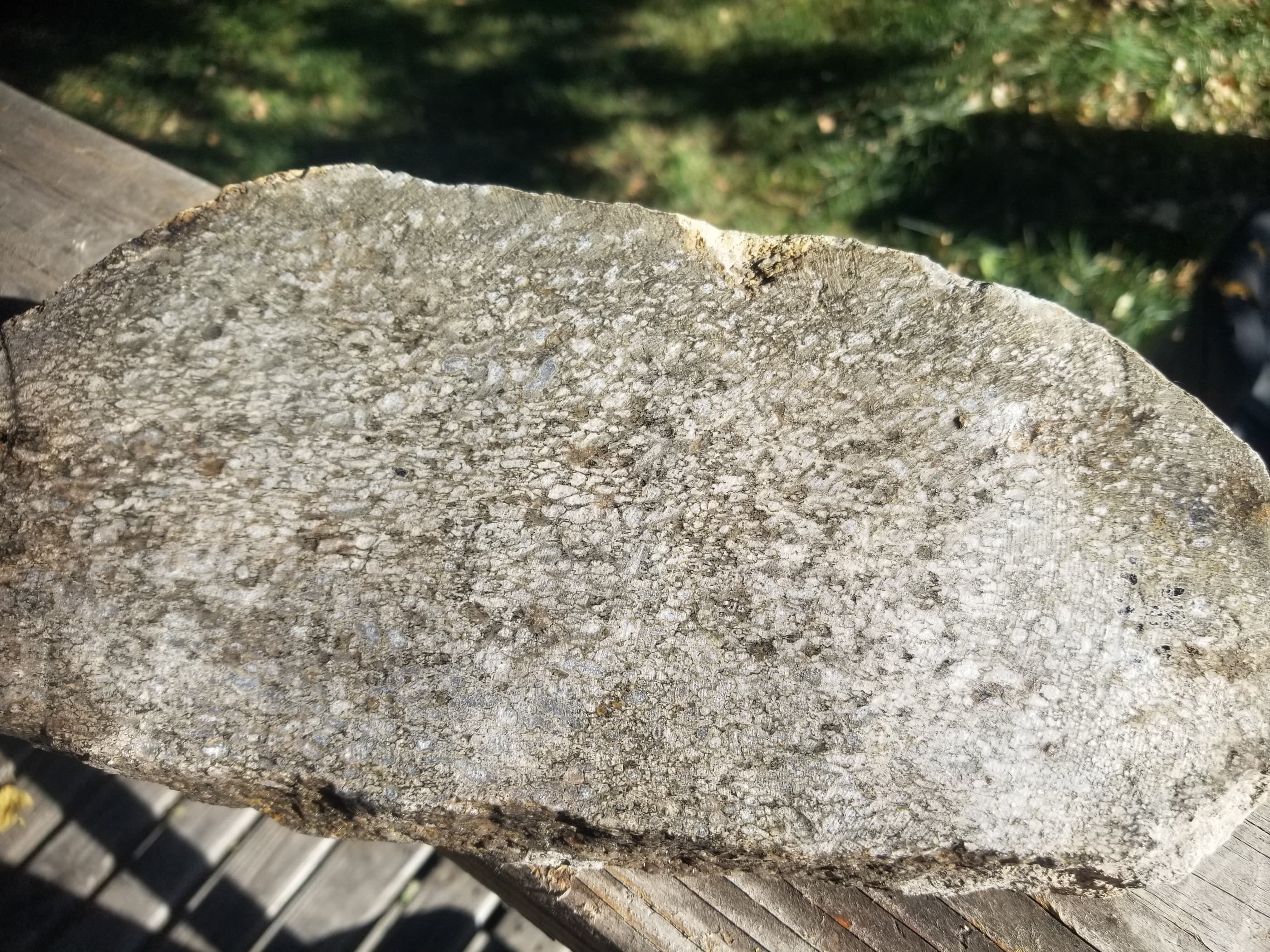 Great Agatized Dinosaur Gem Bone Multicolor Natural Specimen Rough/Unpolished 6Lb