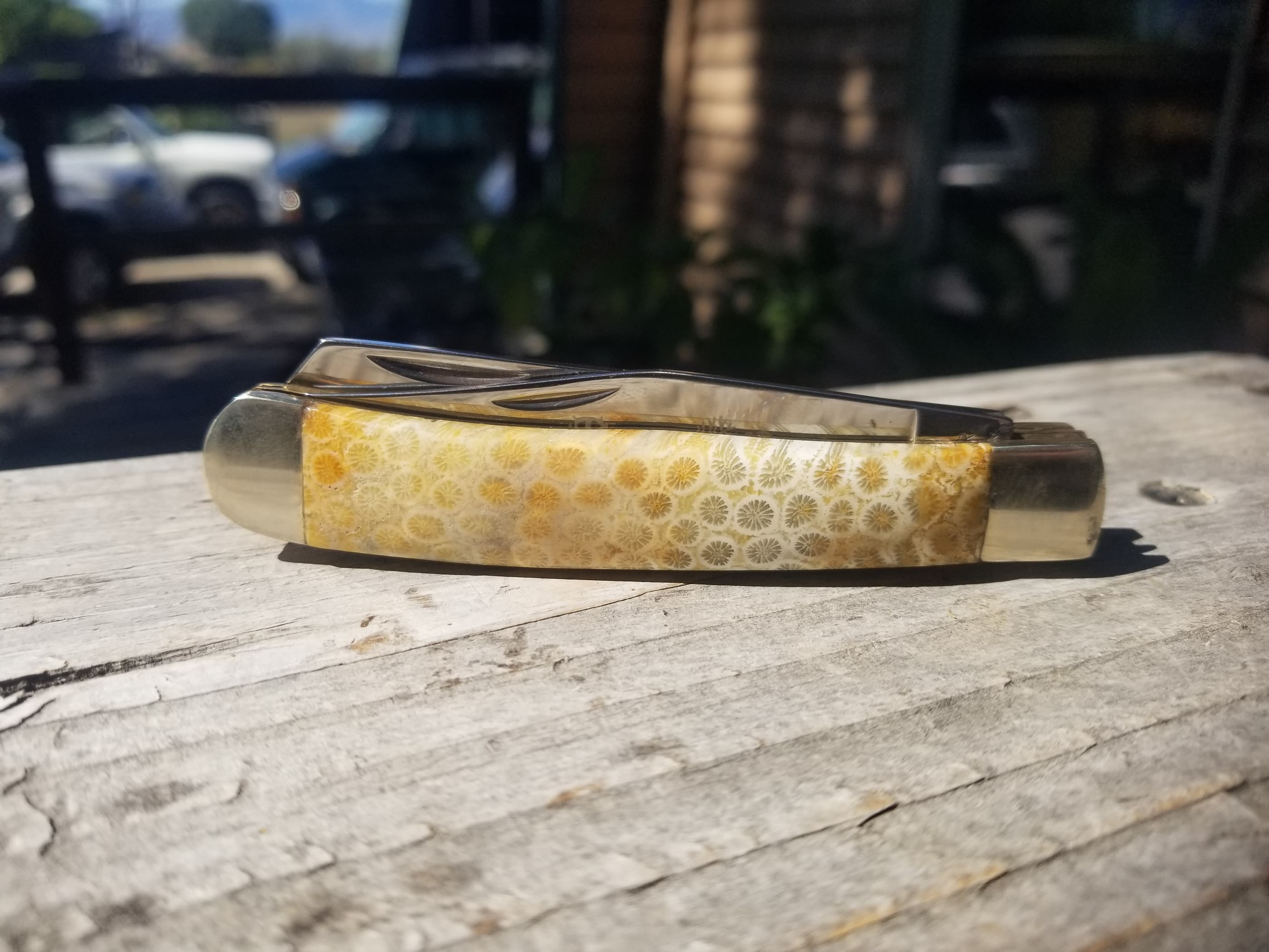Agatized Fossilized Coral Handle Folding Utility Pocket Knife - 4β Handle