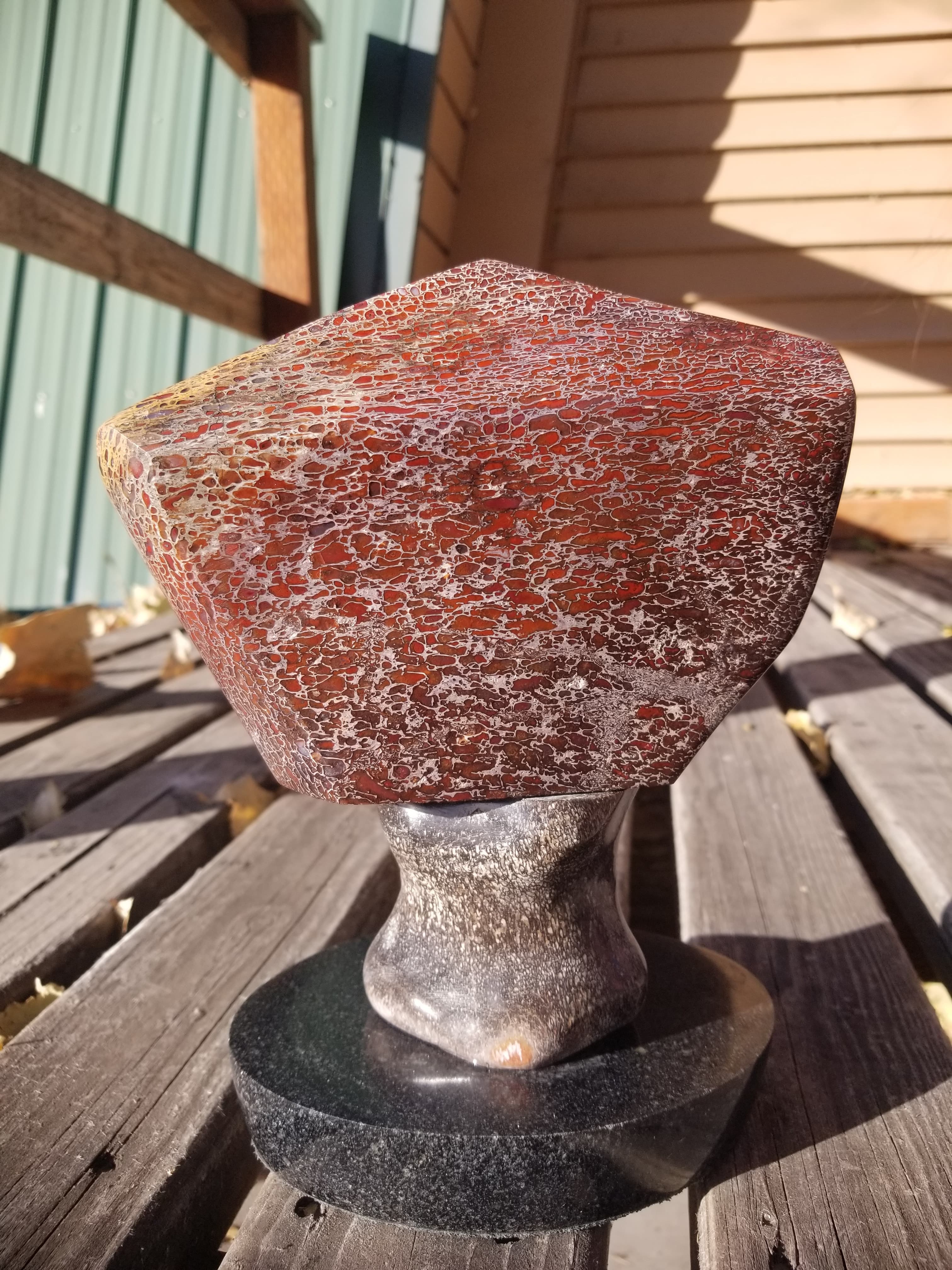 Amazing Hand Made Gem Bone Agatized Dinosaur Bone Polished Artist Artisan Display Piece 8LB