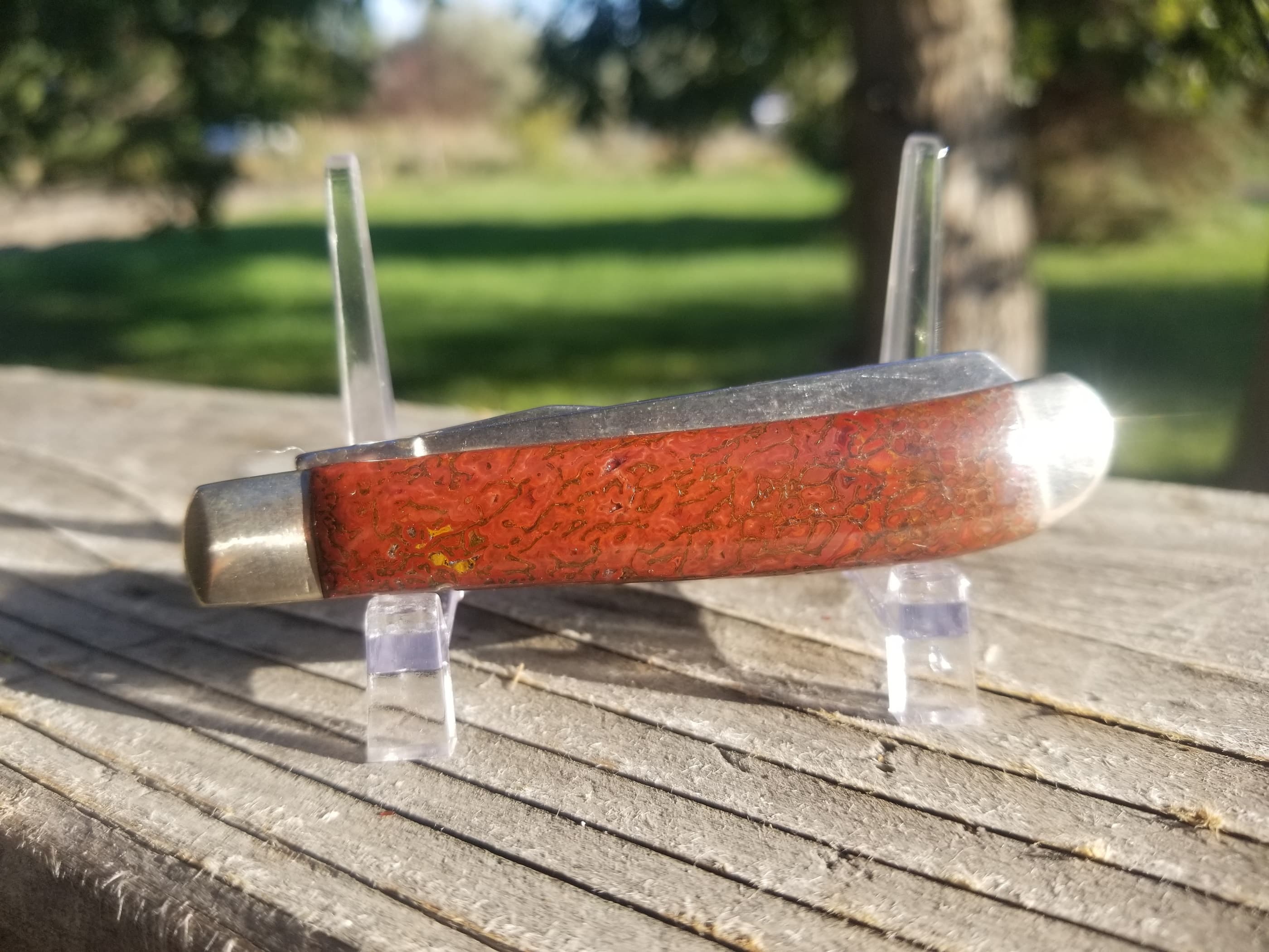 Awesome Red/Yellow Dinosaur Gem Bone Handle Folding Utility Knife - 3.5β Handle