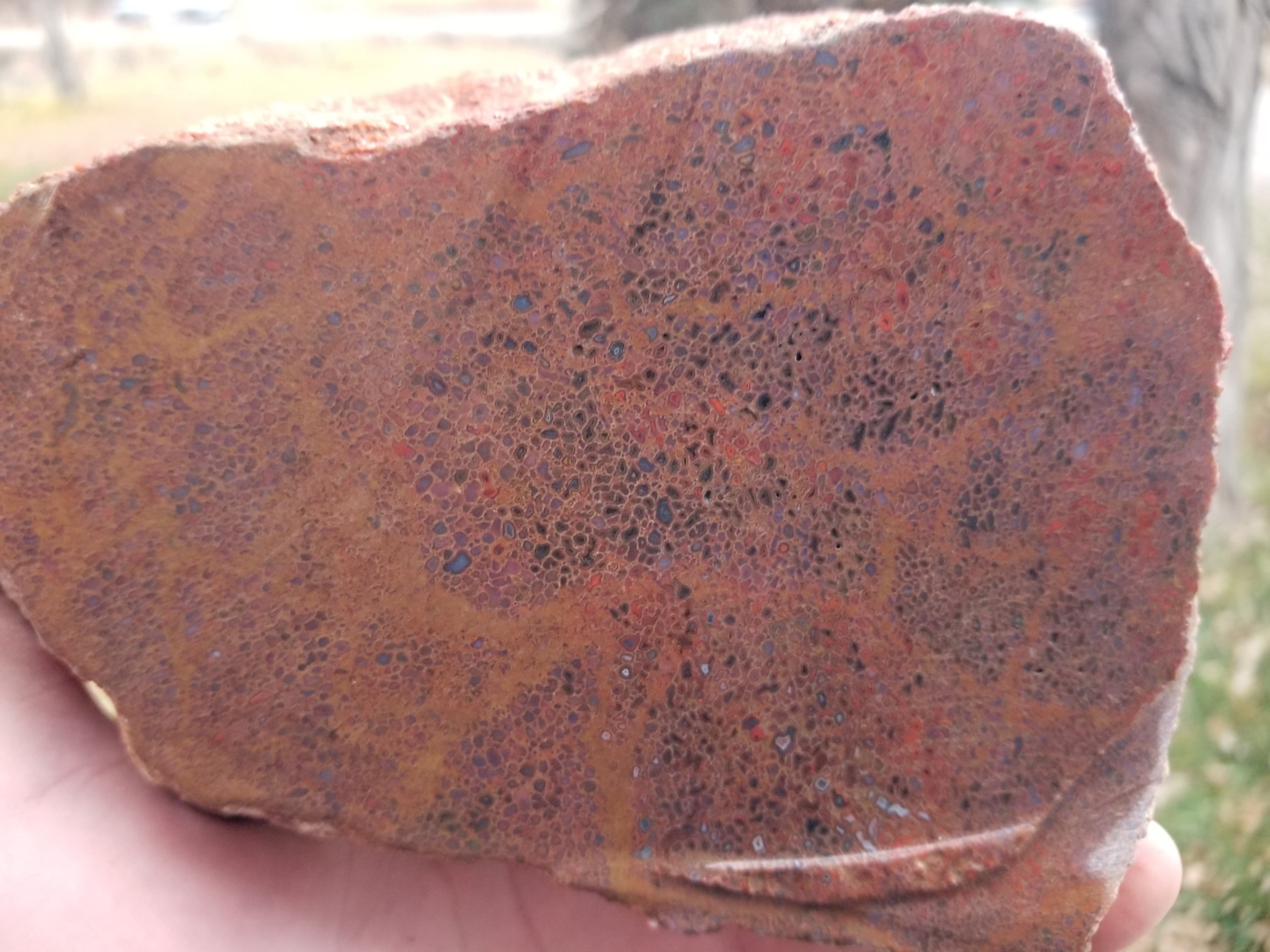 Beautiful Agatized Dinosaur Gem Bone Multicolor Natural Specimen Rough/Unpolished 1717g 3.8Lb
