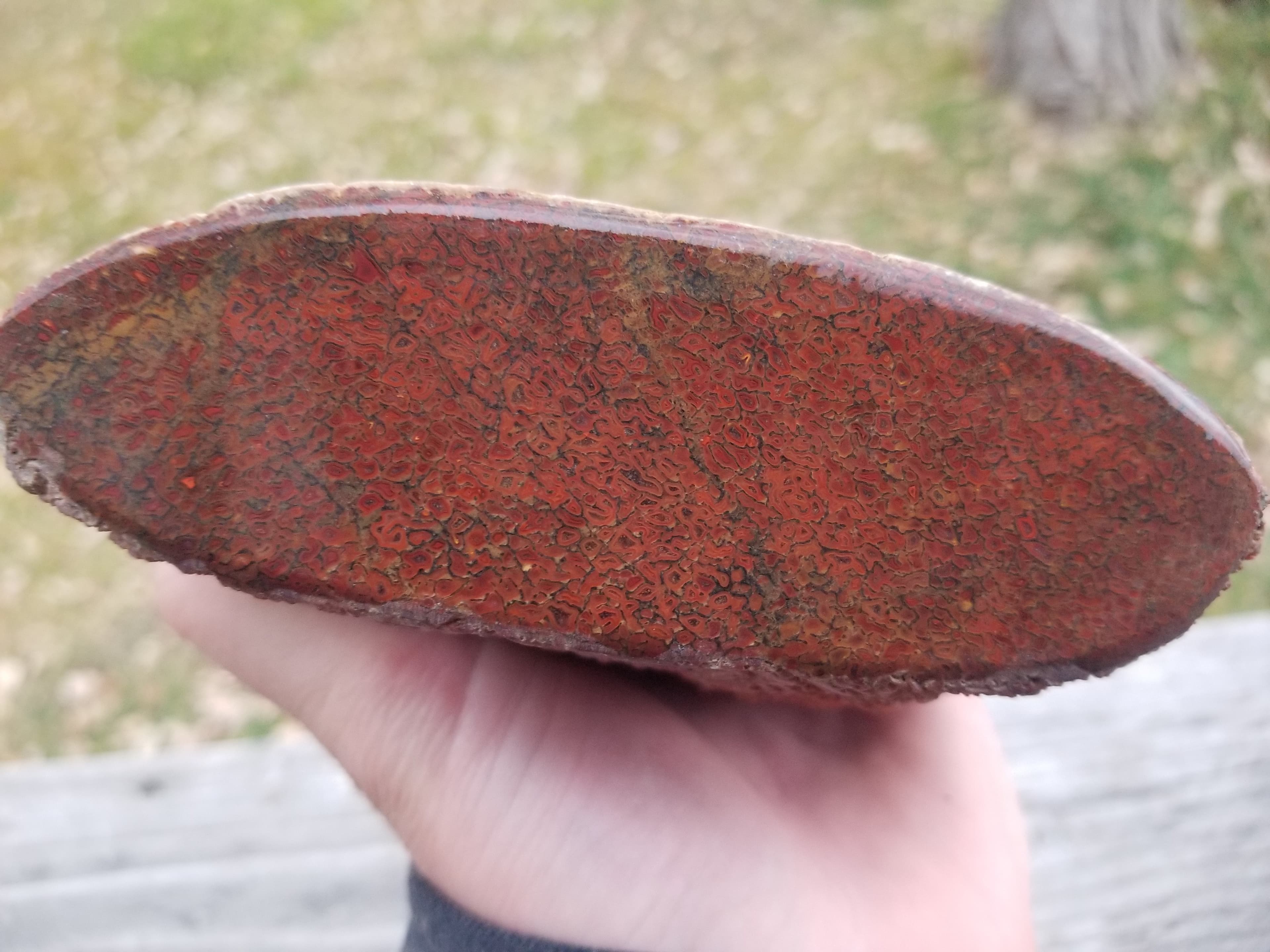 Beautiful Agatized Dinosaur Gem Bone Deep Red Natural Specimen Rough/Unpolished 1161g Very Solid