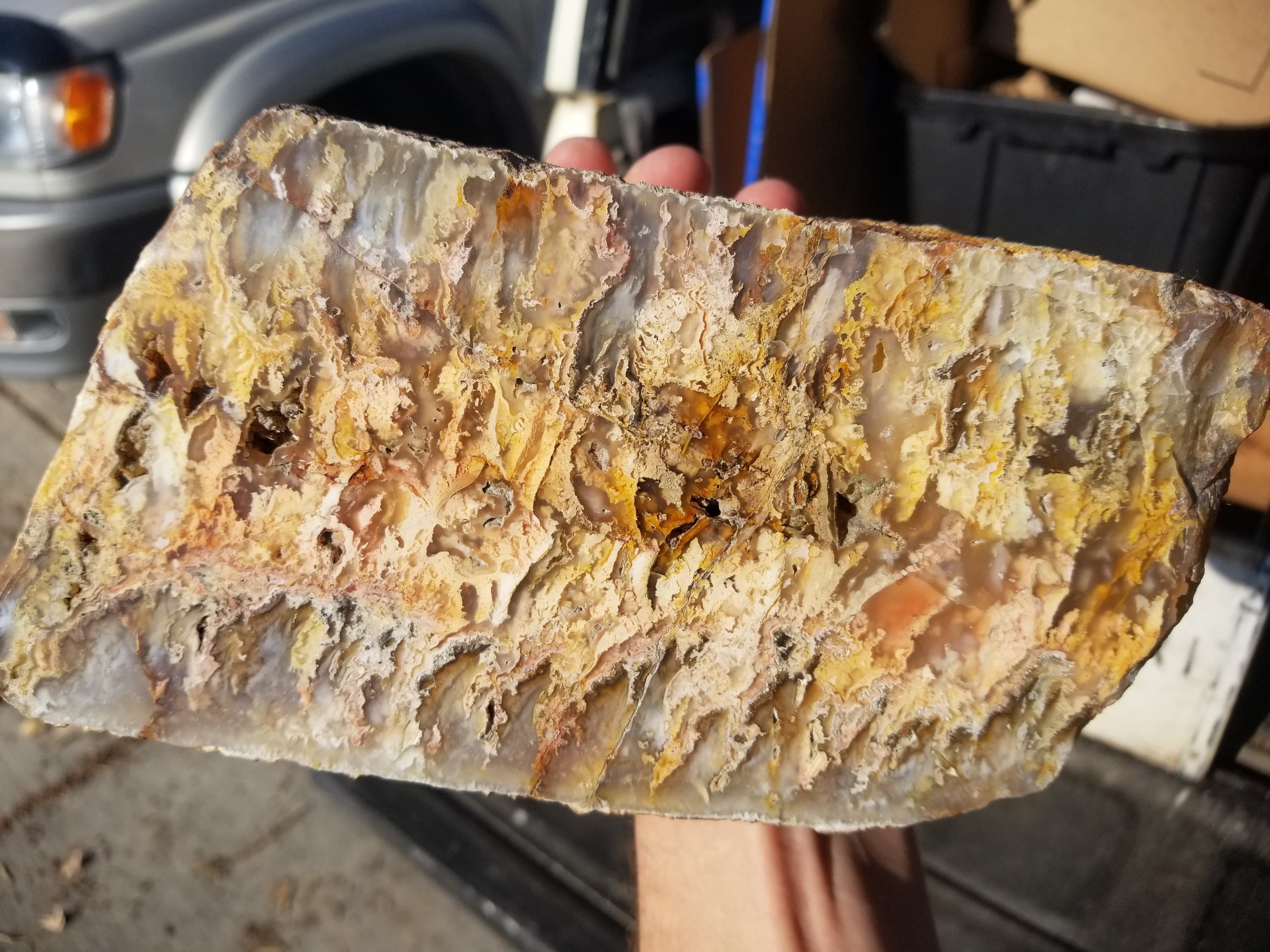 Incredible Huge Polished Graveyard Point Plume Moss Agate Specimen 8+Lb Owyhee Canyon