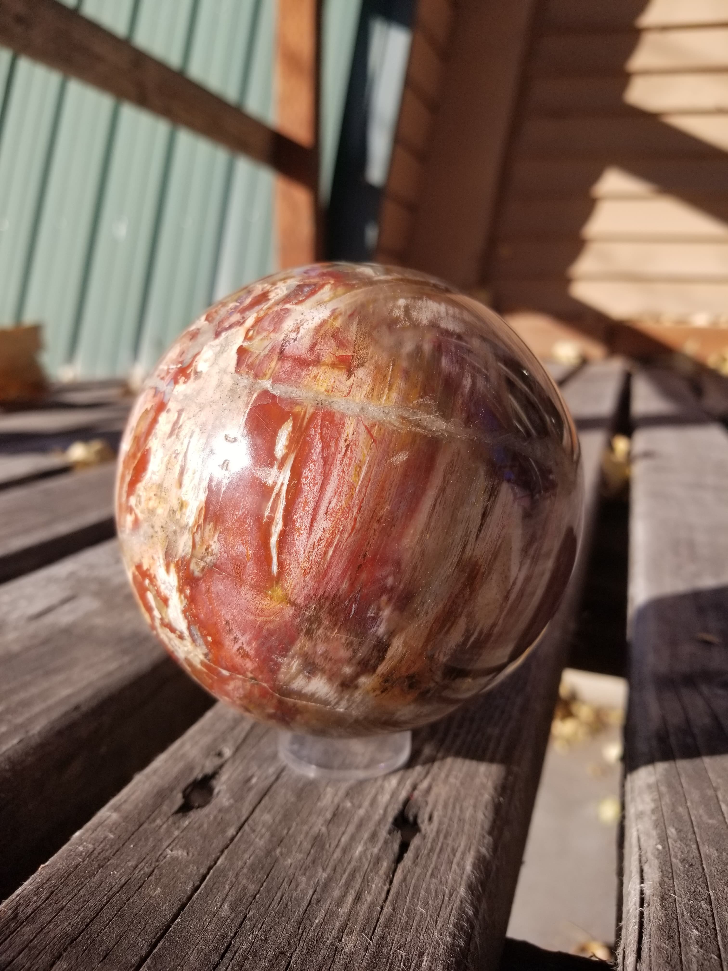Beautiful Polished Boulder Mountain Petrified Wood Sphere 3+Lb - Great Pattern Colors