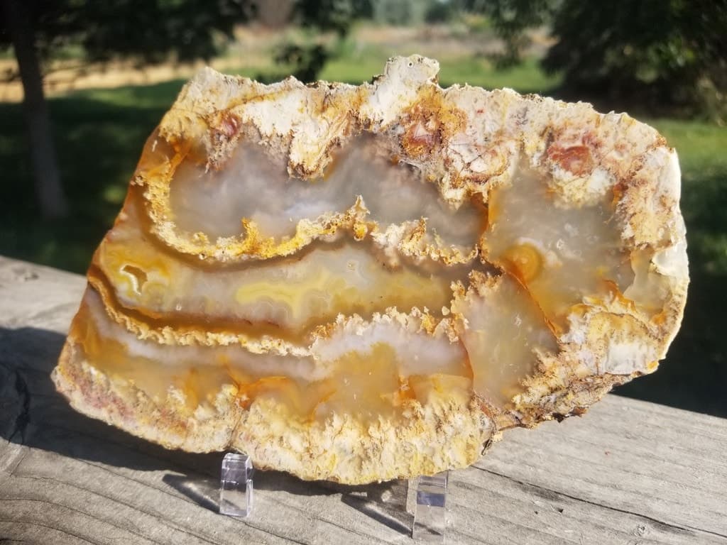 Beautiful Polished Graveyard Point Plume Moss Agate Banded Specimen Slab 184g 6x4"