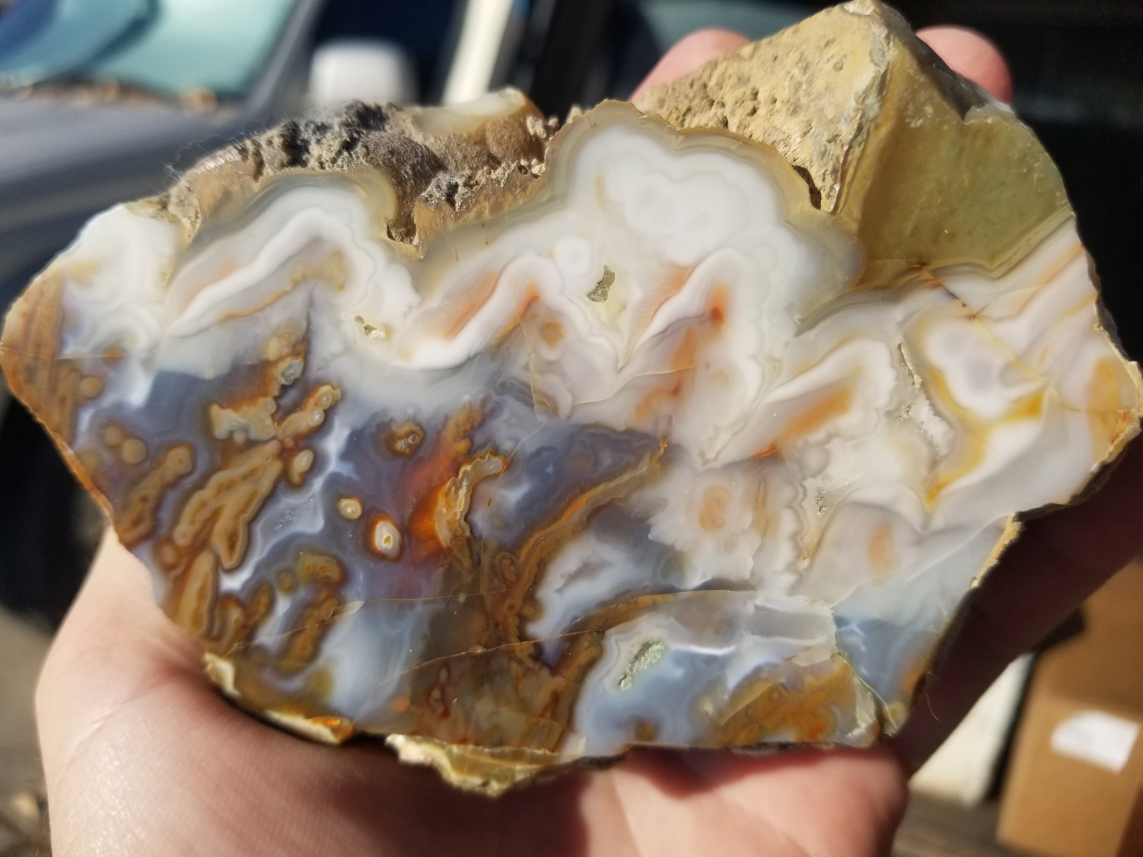 Unique Graveyard Point Cream Plume Moss Agate Polished Specimen Owyhee Canyon