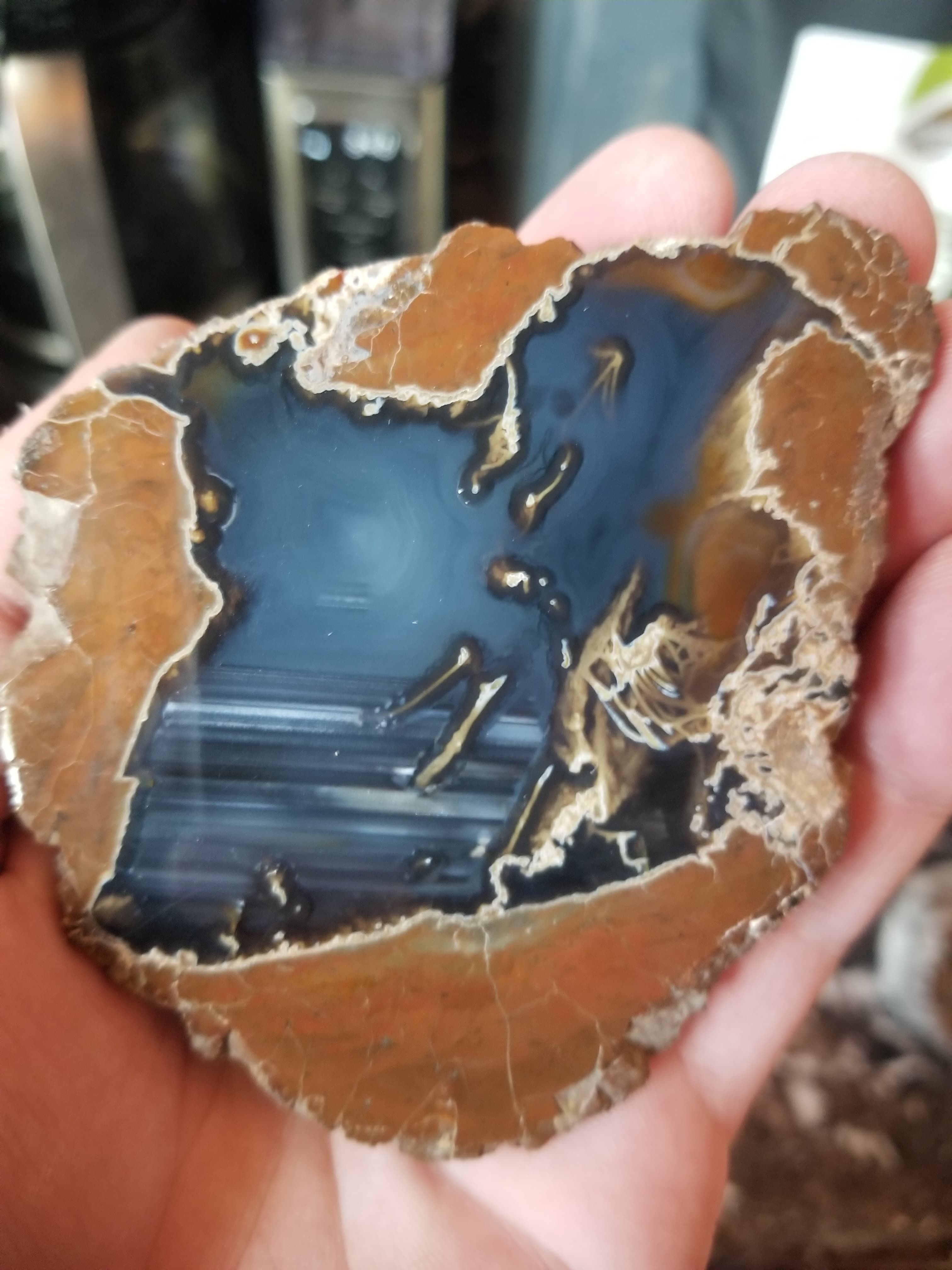 Beautiful Polished Thunder Egg Half Geode Nodule Specimen Great Star Pattern, Moss, & Water lines