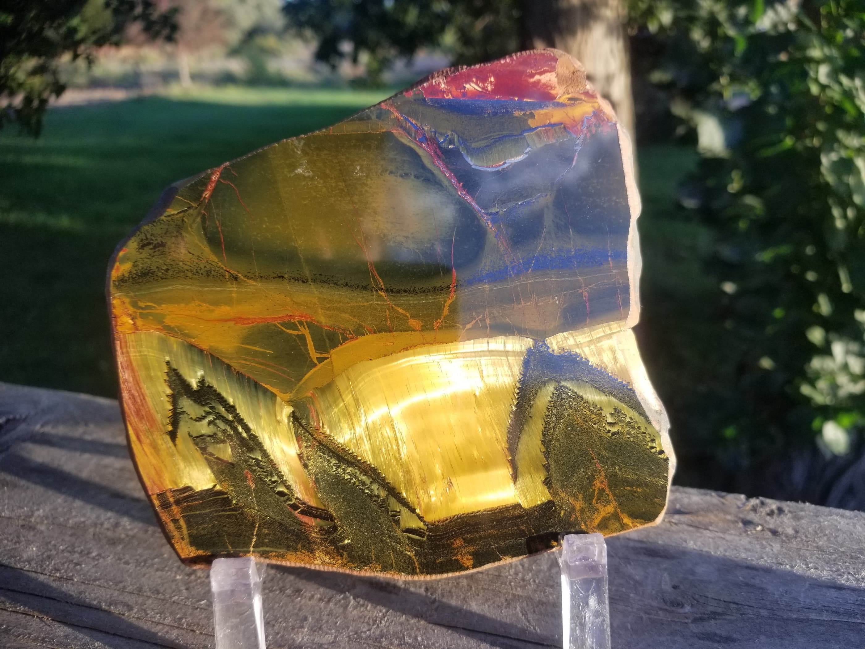 Beautiful Rare Polished Marra Mamba Tiger's Eye Picture Slab Thick Specimen 6x3.5" 1+Lb - Australia