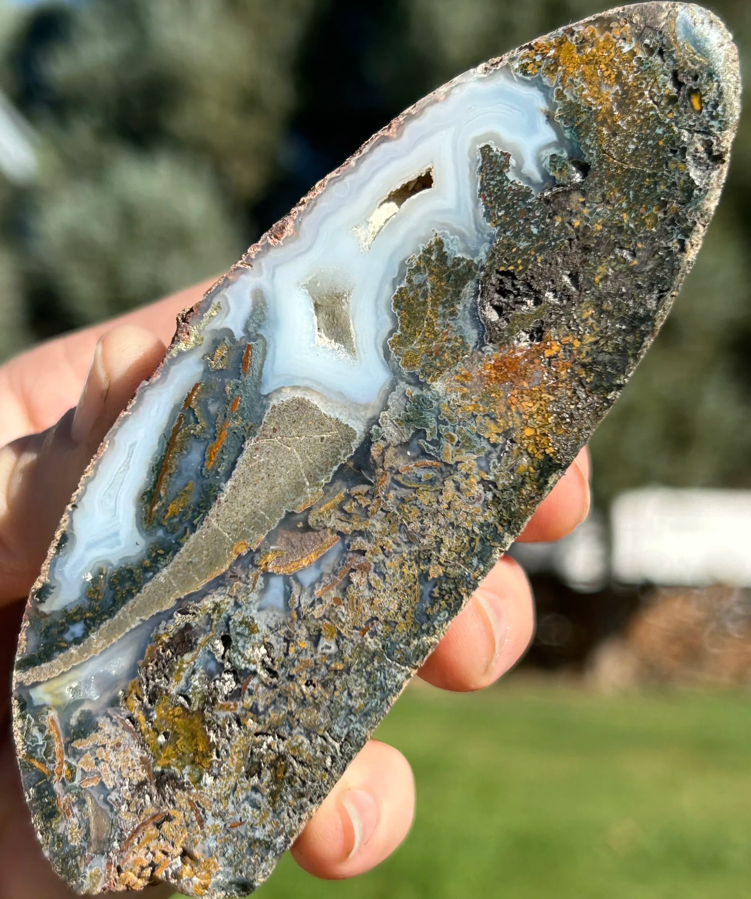 Nice Beacon Hill Agate Half Specimen - Polished Scenic Mossy Druzy