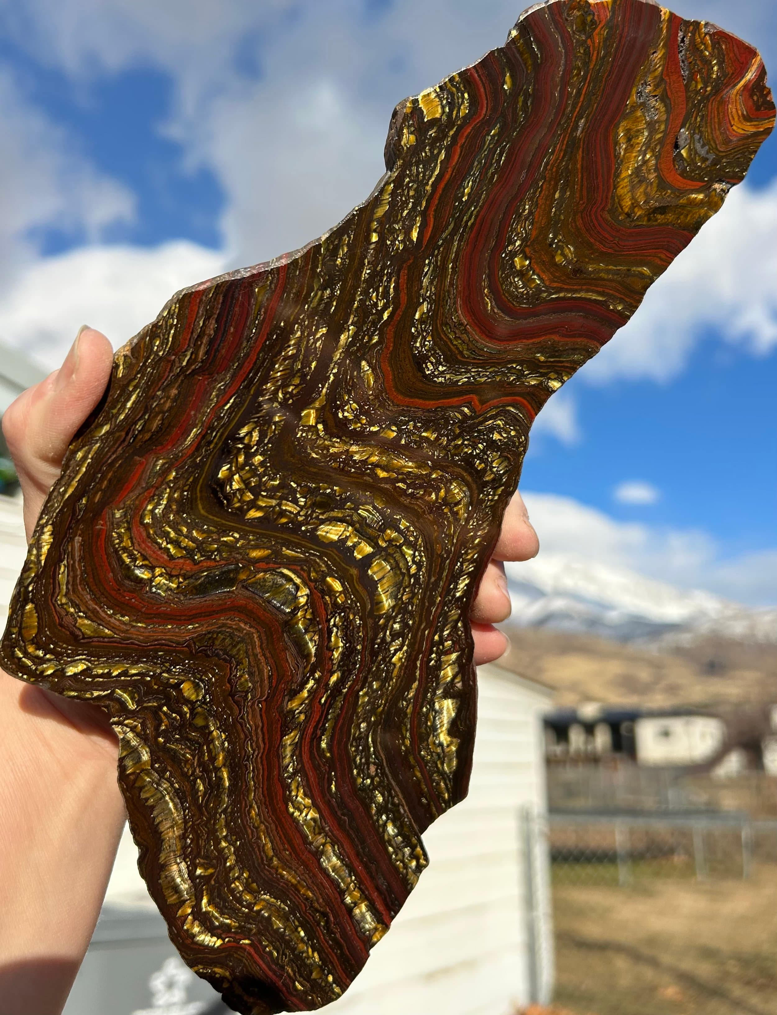 Large Tiger Iron Slab