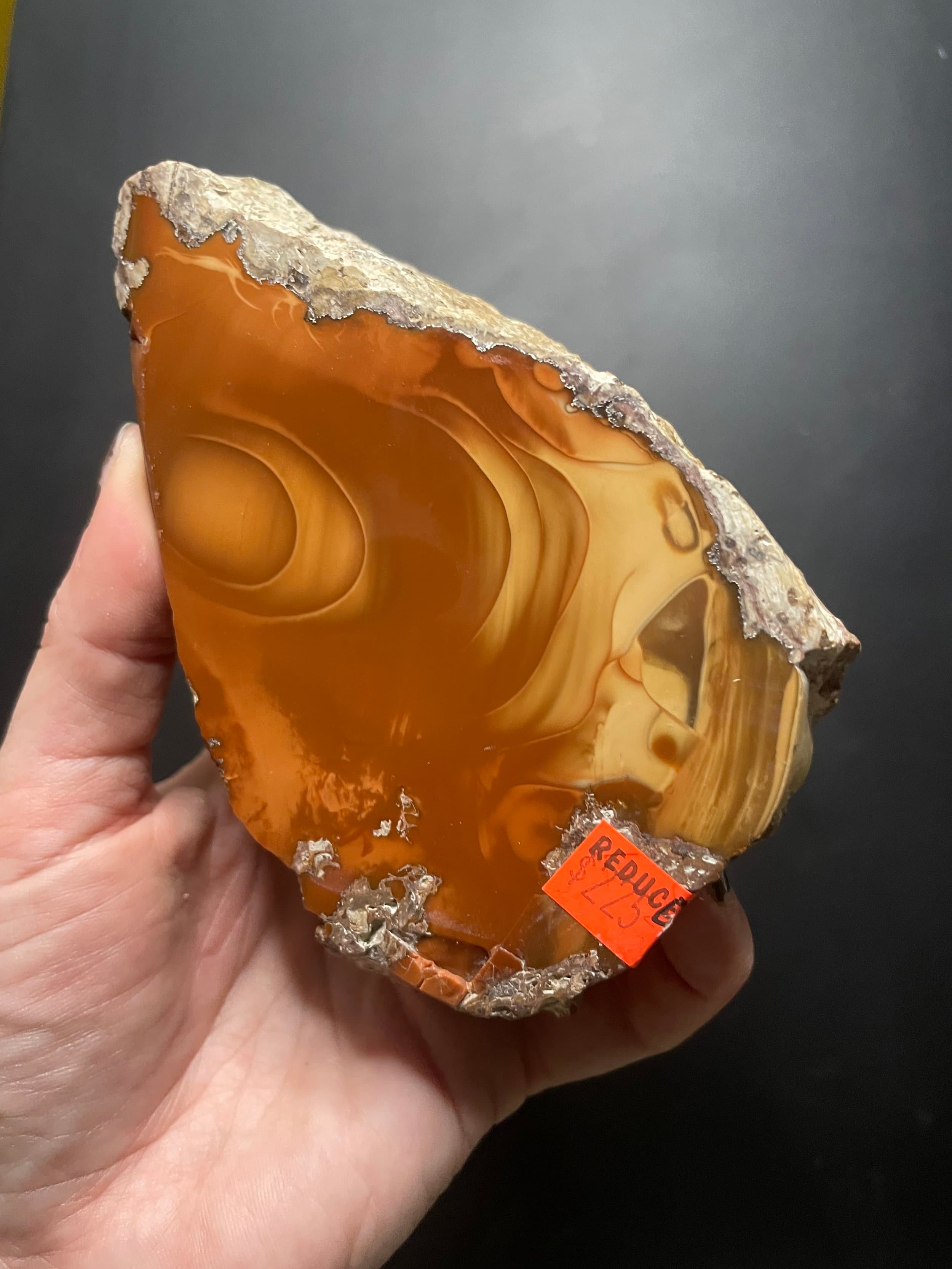 Beautiful Rare Orbed Bruneau Jasper Face Polished Specimen- Red Bruneau River Canyon Jasper