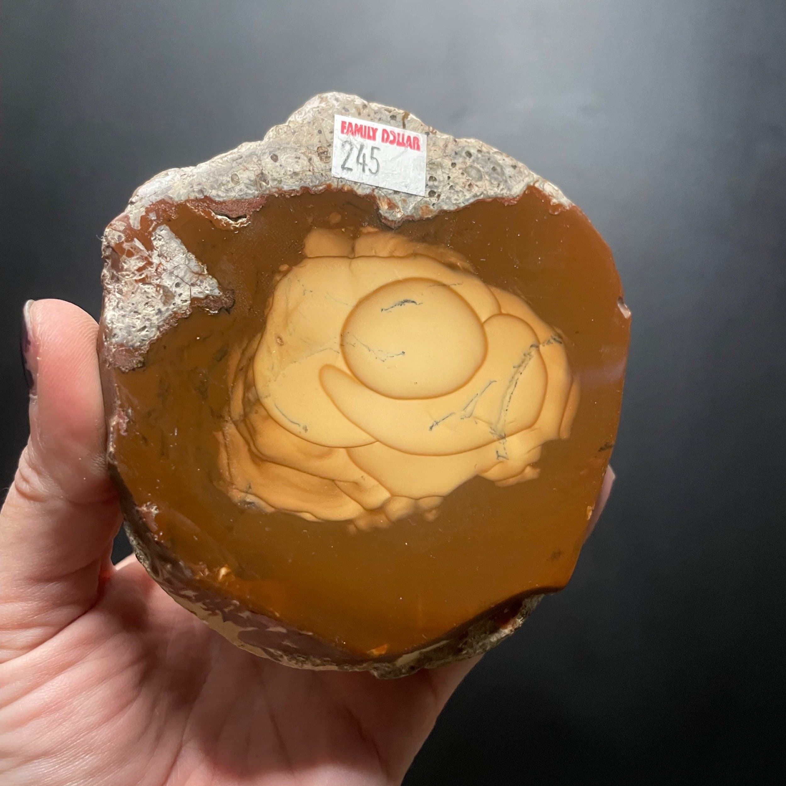 Beautiful Rare Face Polished Bruneau Jasper Nodule w/Orbs - Brown Bruneau River Canyon Jasper