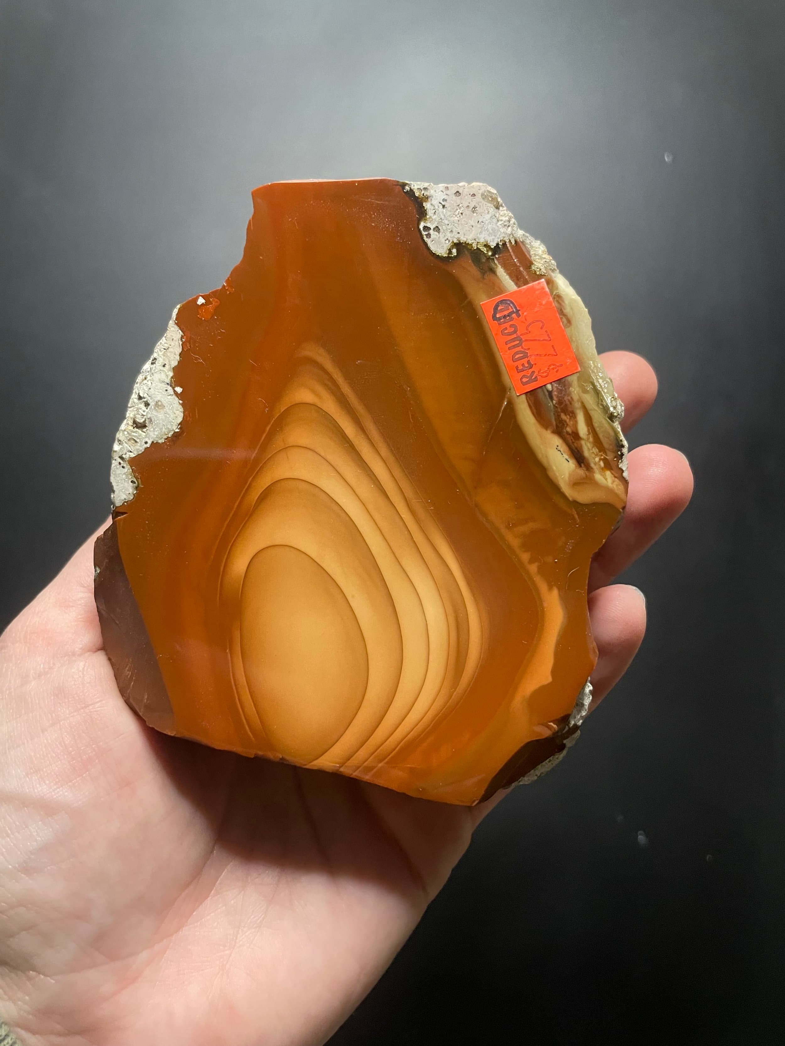Beautiful Rare Orbed Bruneau Jasper Face Polished Specimen- Red Bruneau River Canyon Jasper