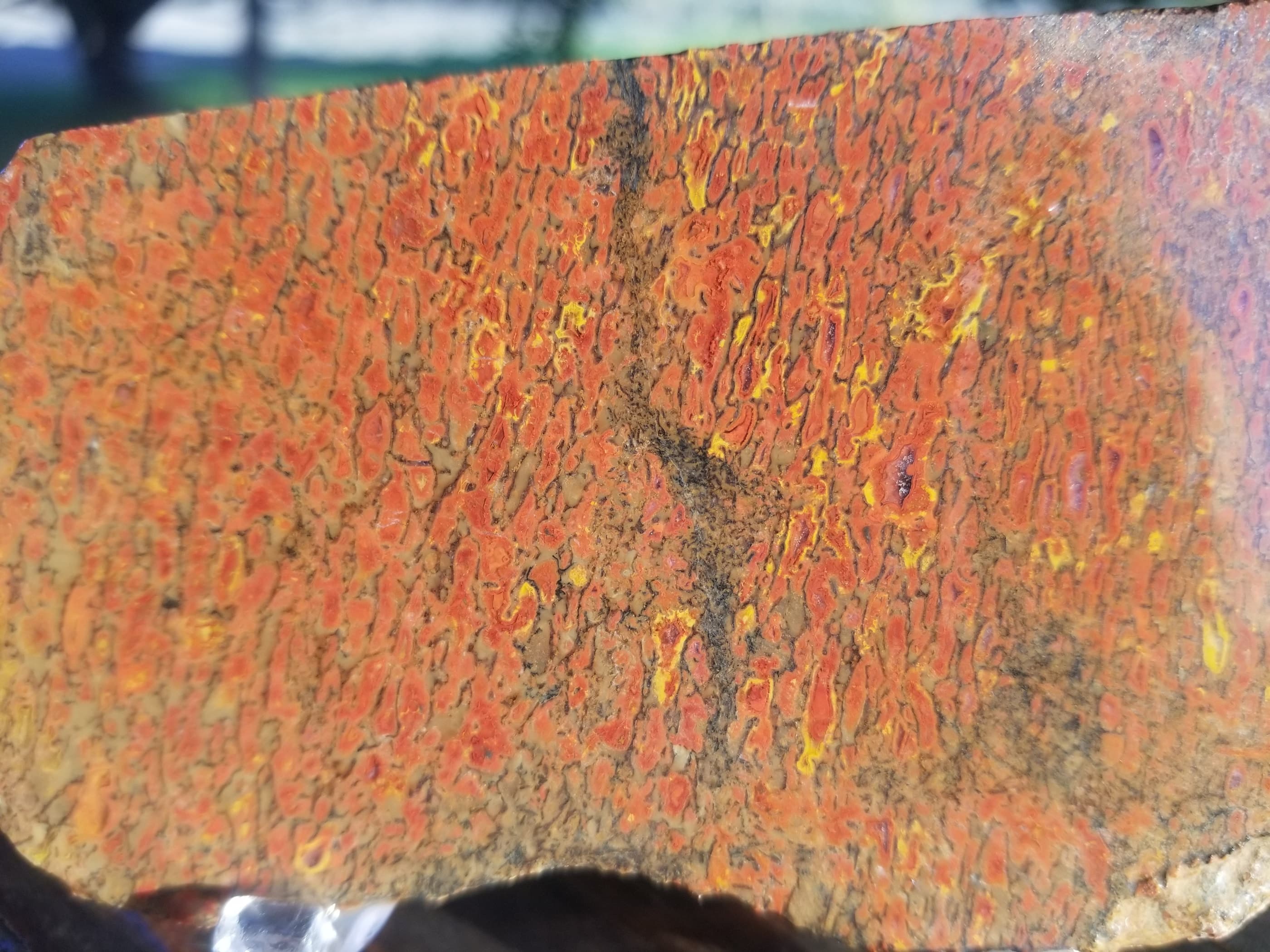 Deep Red Agatized Dinosaur Gem Bone Slab 109g