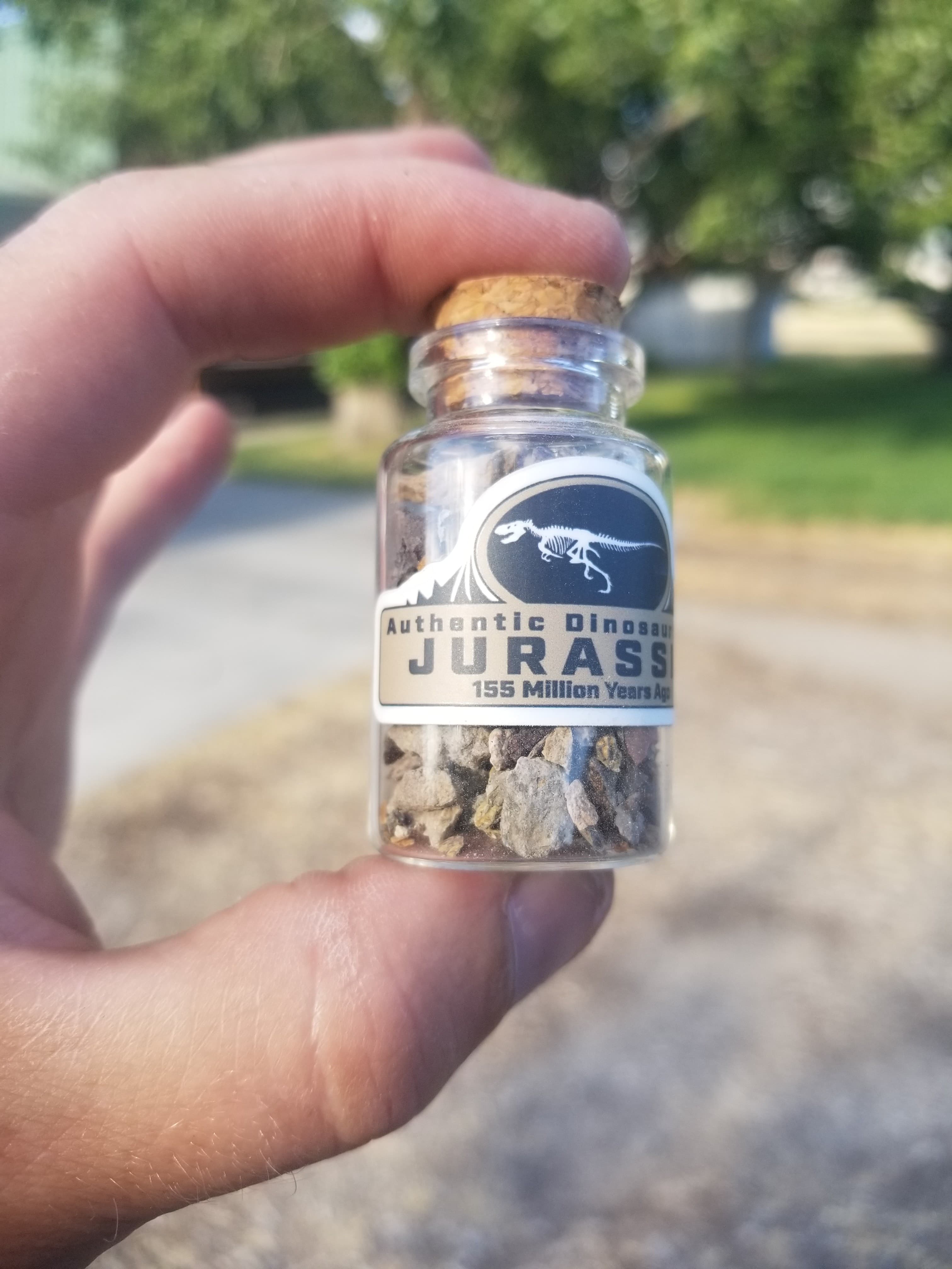 Educational and Collectible Dinosaur Bone Fragment Vials Jurassic Era Morrison Formation 2"
