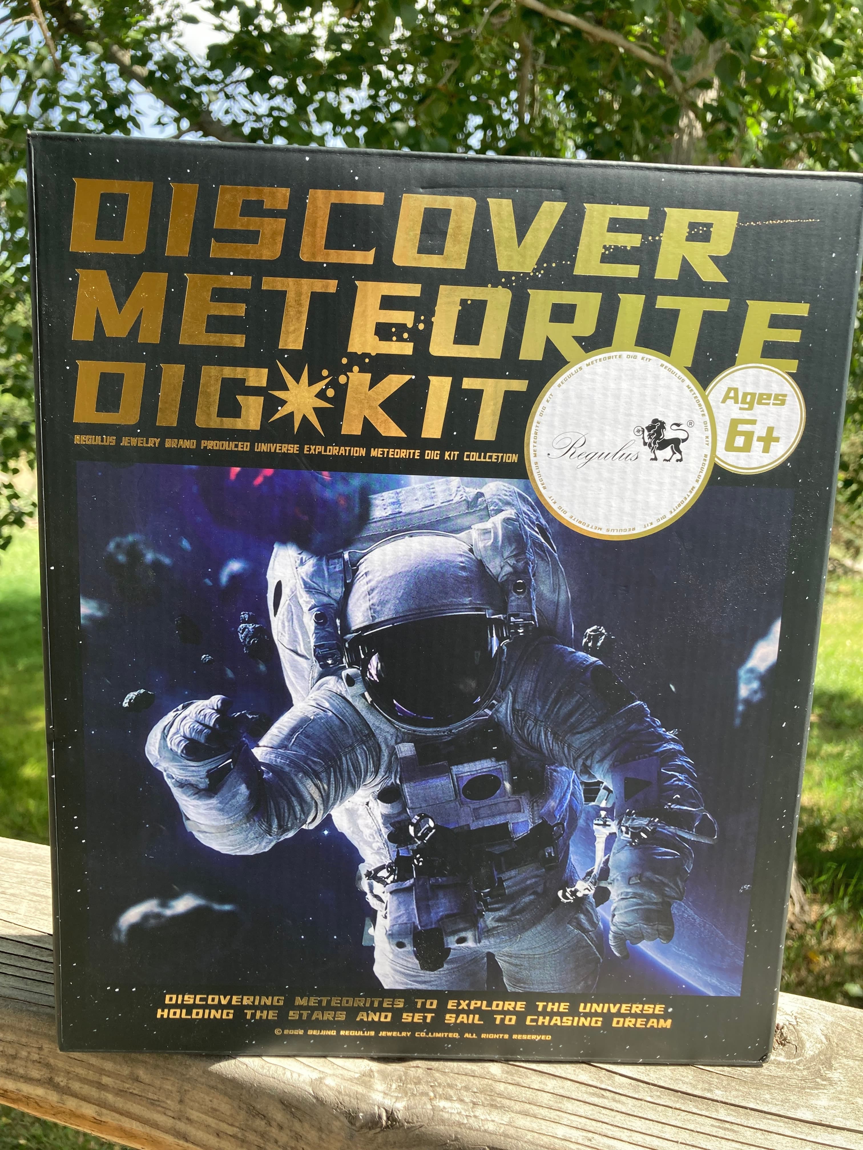 Fun Interactive Dig Your Own Meteorite Dig Kit! Includes Real Natural Meteorites