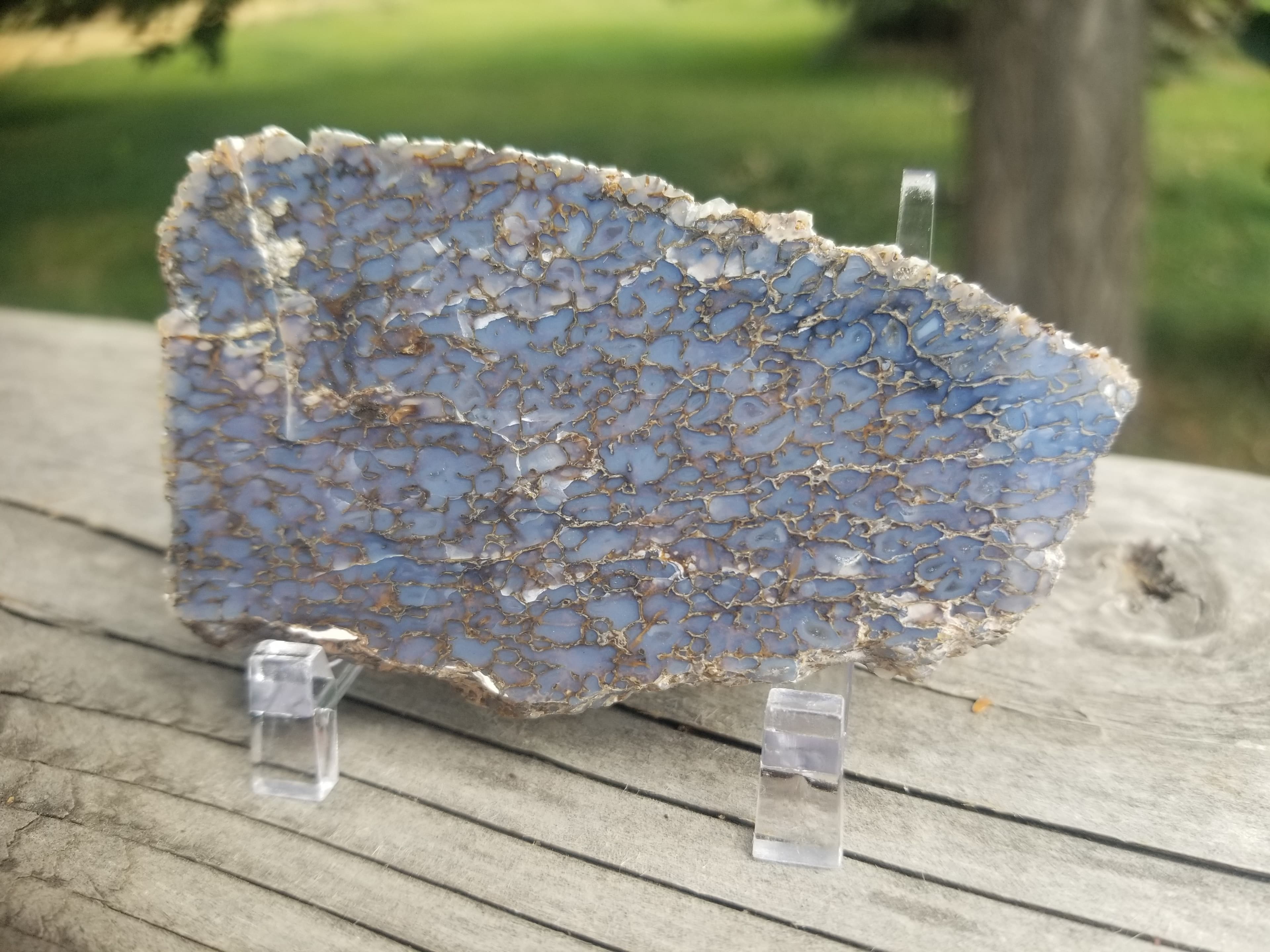 Great Polished Deep Blue Cell Glassy Agatized Jurassic Dinosaur Gem Bone Slab Specimem 56g
