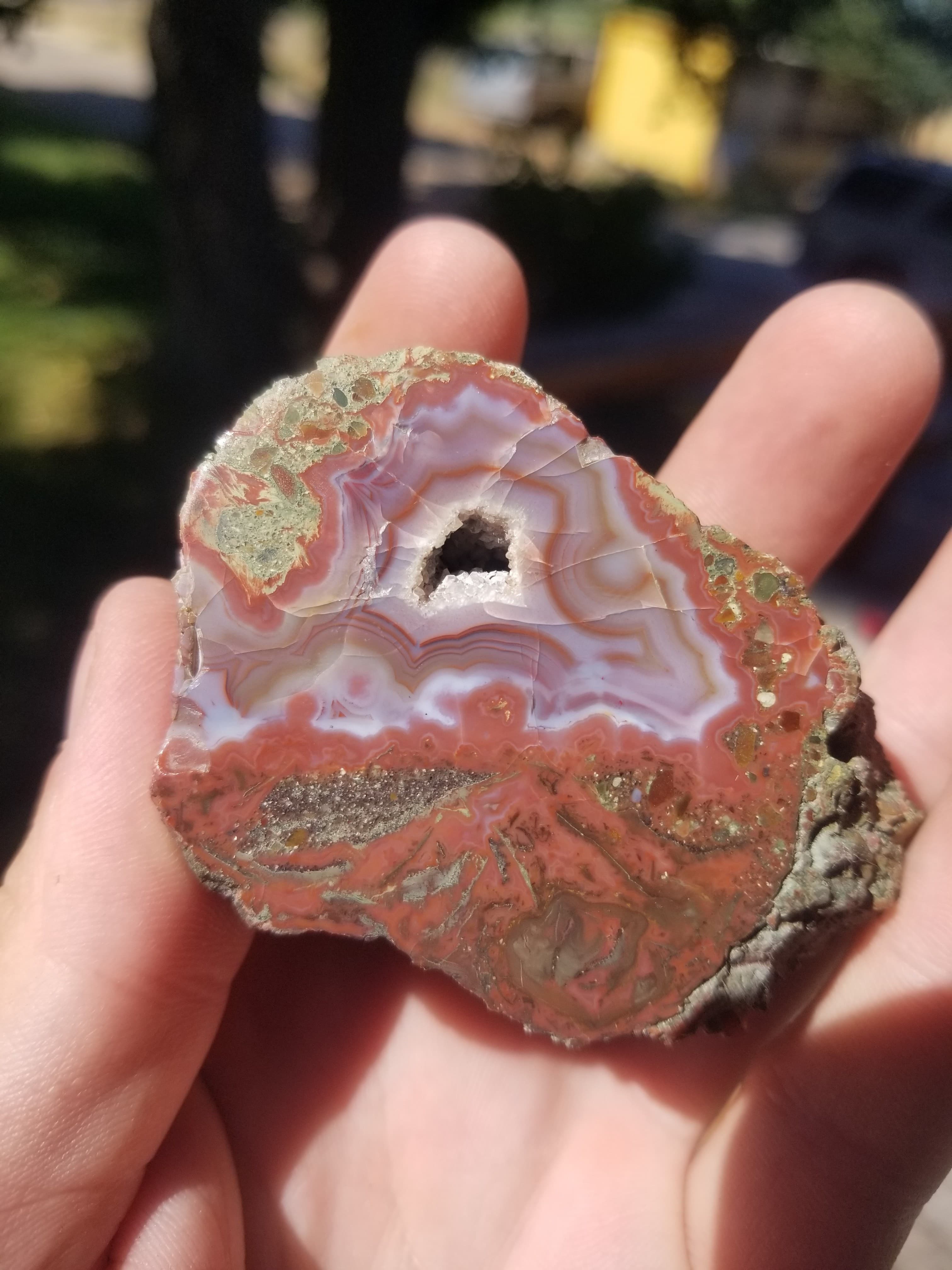 Highly Coveted Polished Yellow Cat Red Wood - Petrified Agatized Wood Specimen 151g, UT