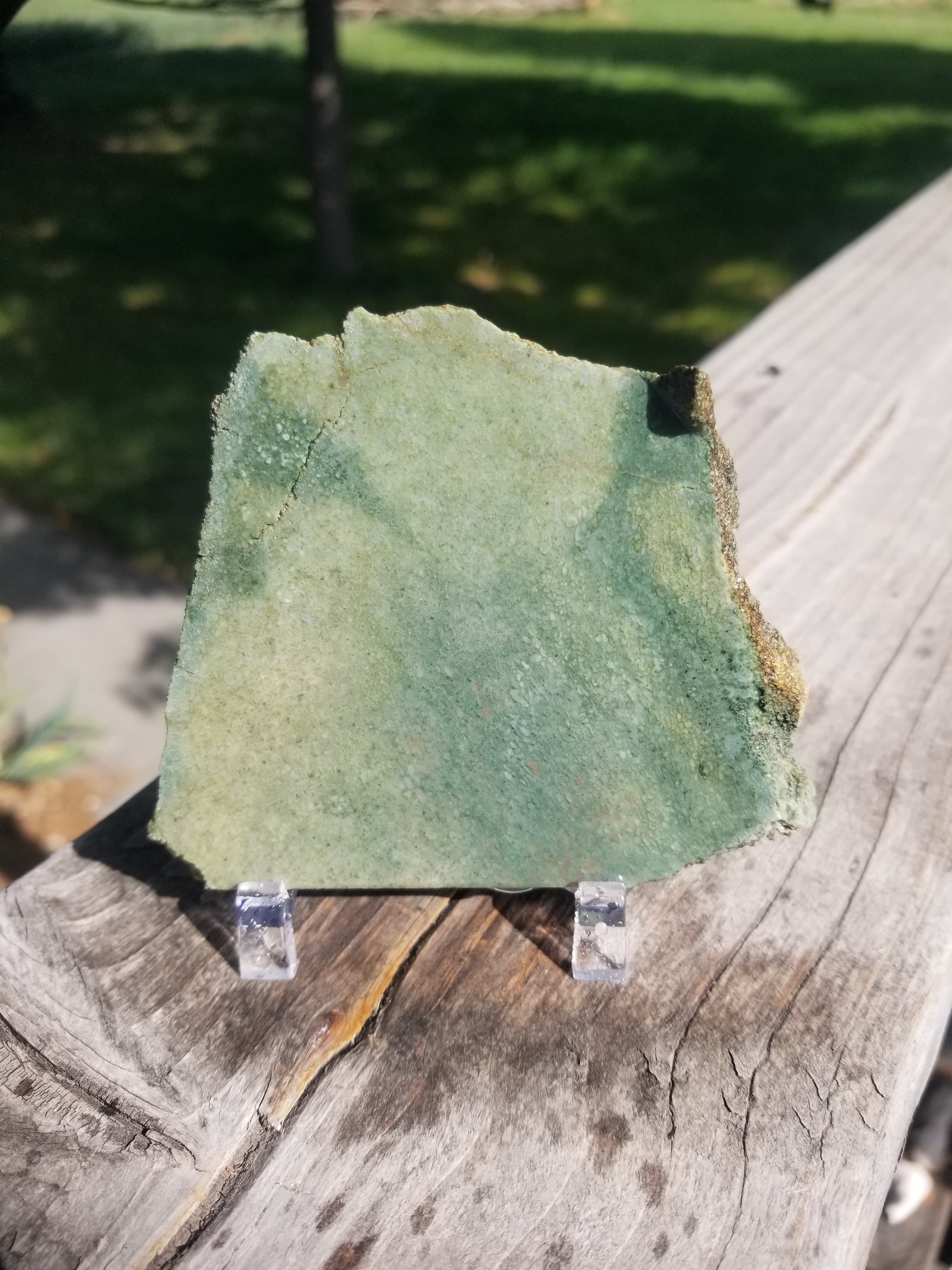 Incredible Green Agatized Dinosaur Gem Bone Slab Specimen Natural Rough 86g Lapidary