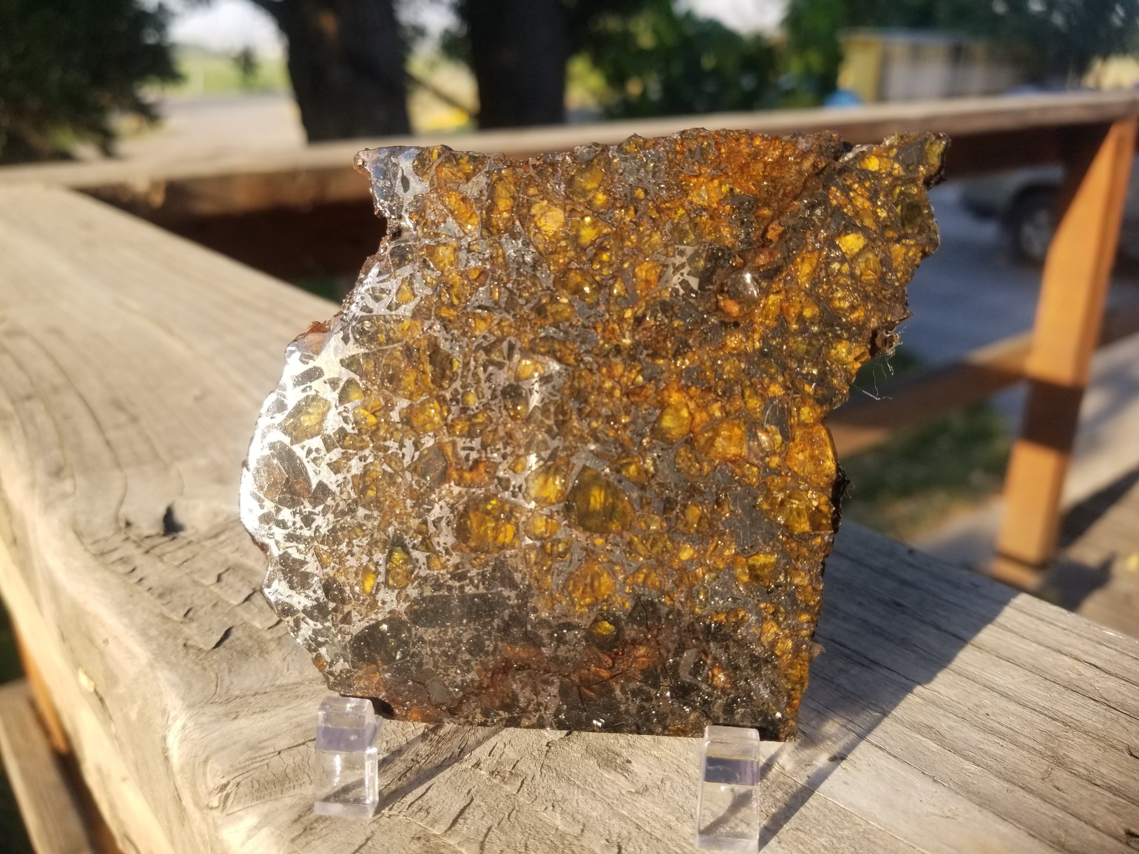 Incredible Large Rare Admire Pallasite Meteor Slab Specimen 96g 3"x3" Olivine (Forsterite) Kansas