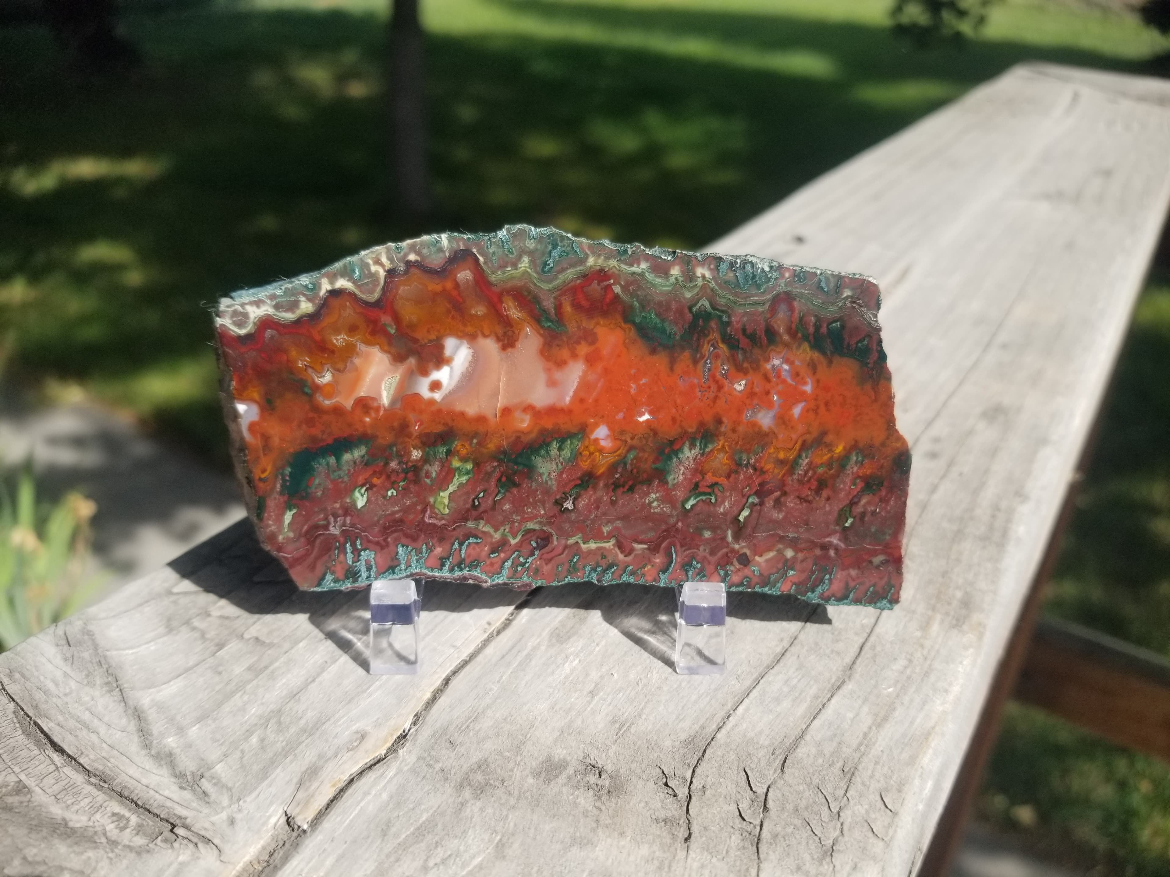 Incredible Large Idaho Sunset Lone Juniper Jasper Agate Polished Slab Specimen
