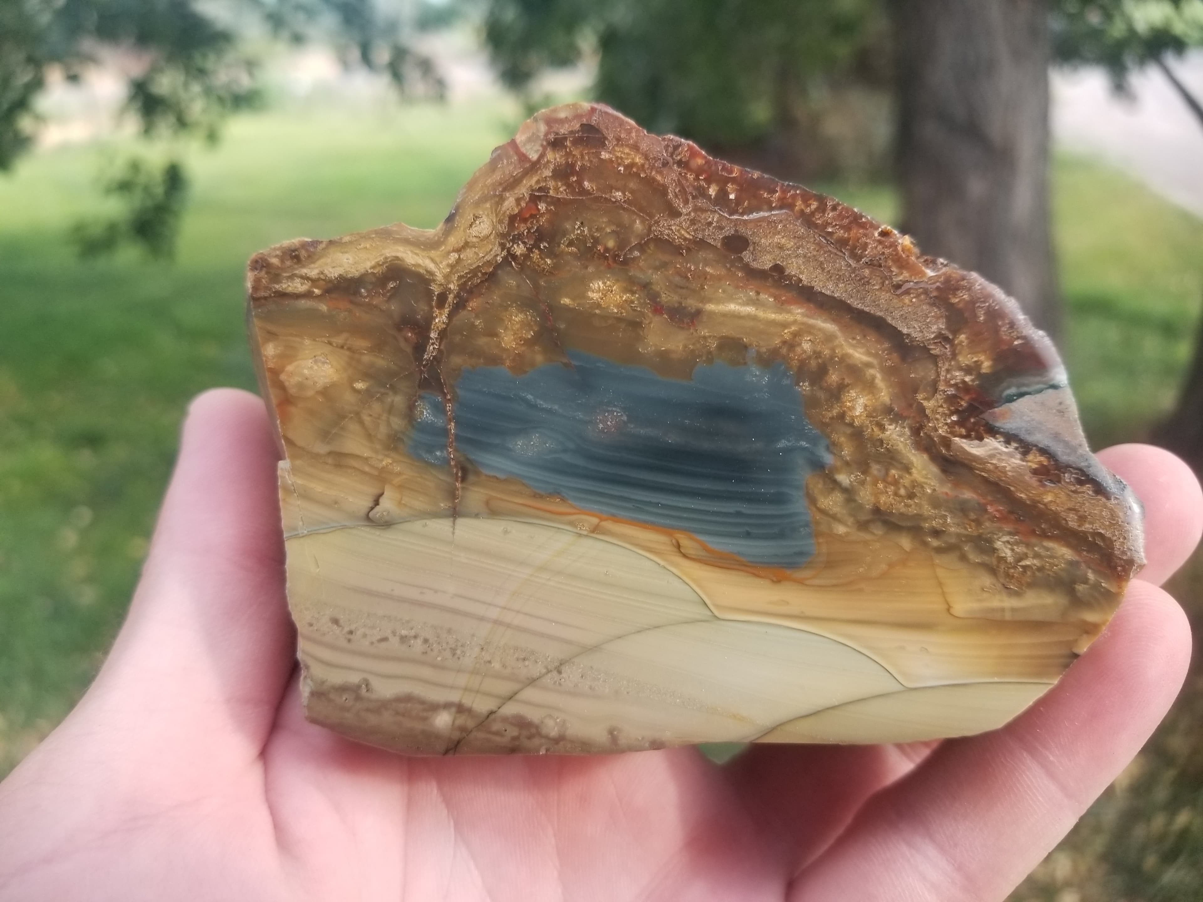 Beautiful Scenic Blue Mountain Orbed Jasper Polished End Cut Specimen Orbs Multicolor 1Lb