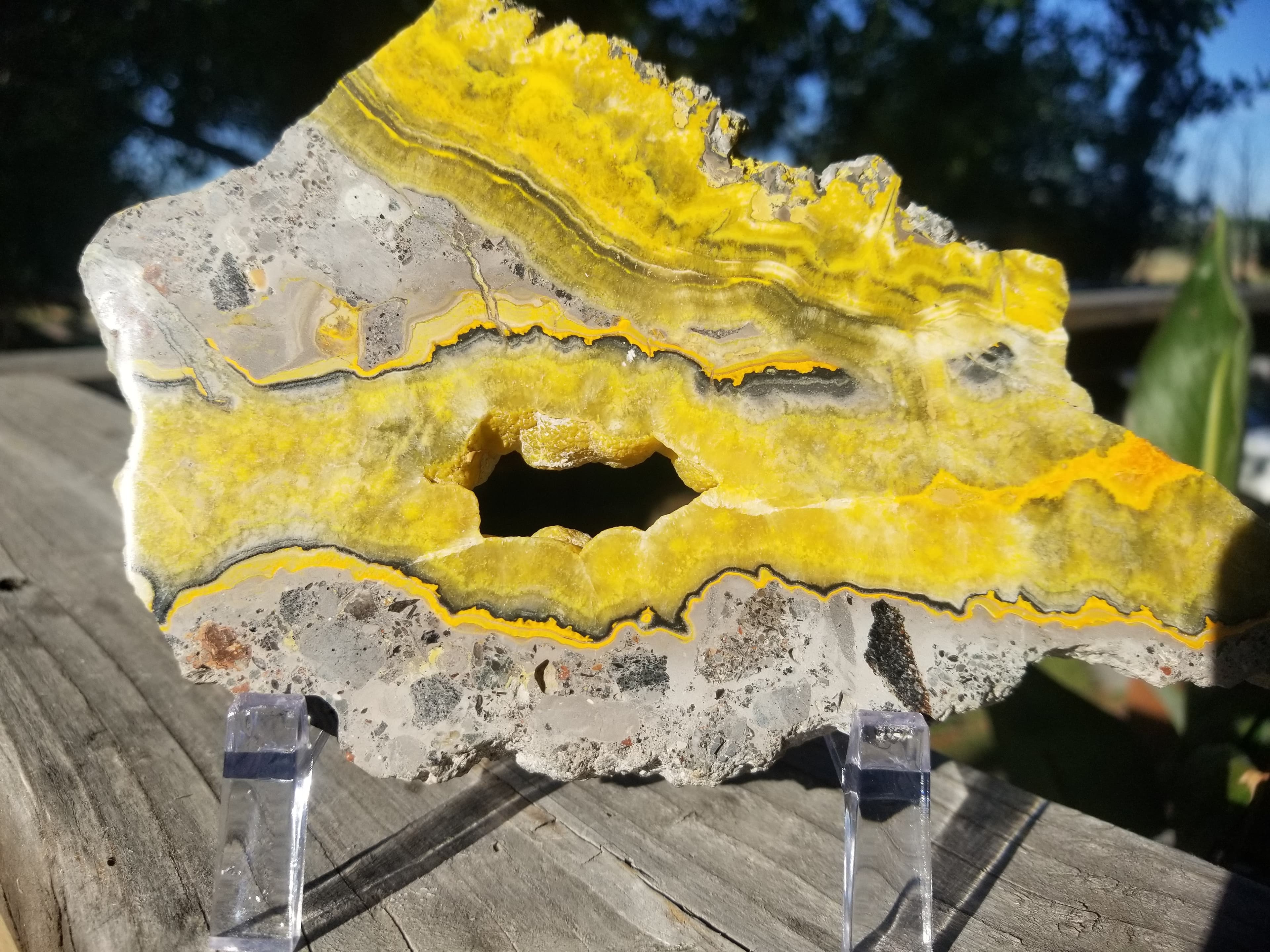 Incredible Polished Both Side Bumble Bee Jasper Slab Specimen w/Druzy Sugar Pocket