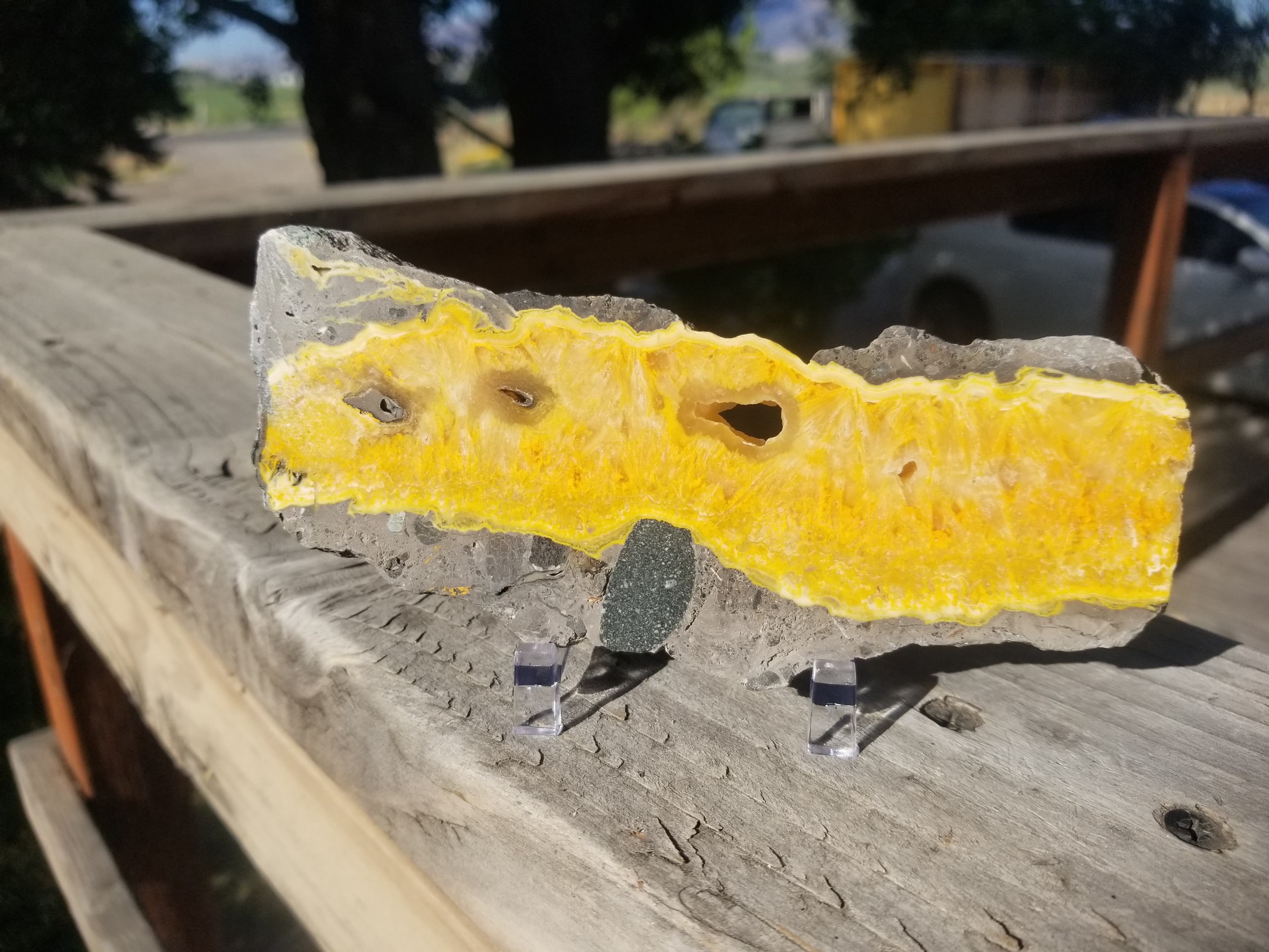 Nice Polished Both Sides Bumble Bee Jasper Slab Specimen Natural Yellow
