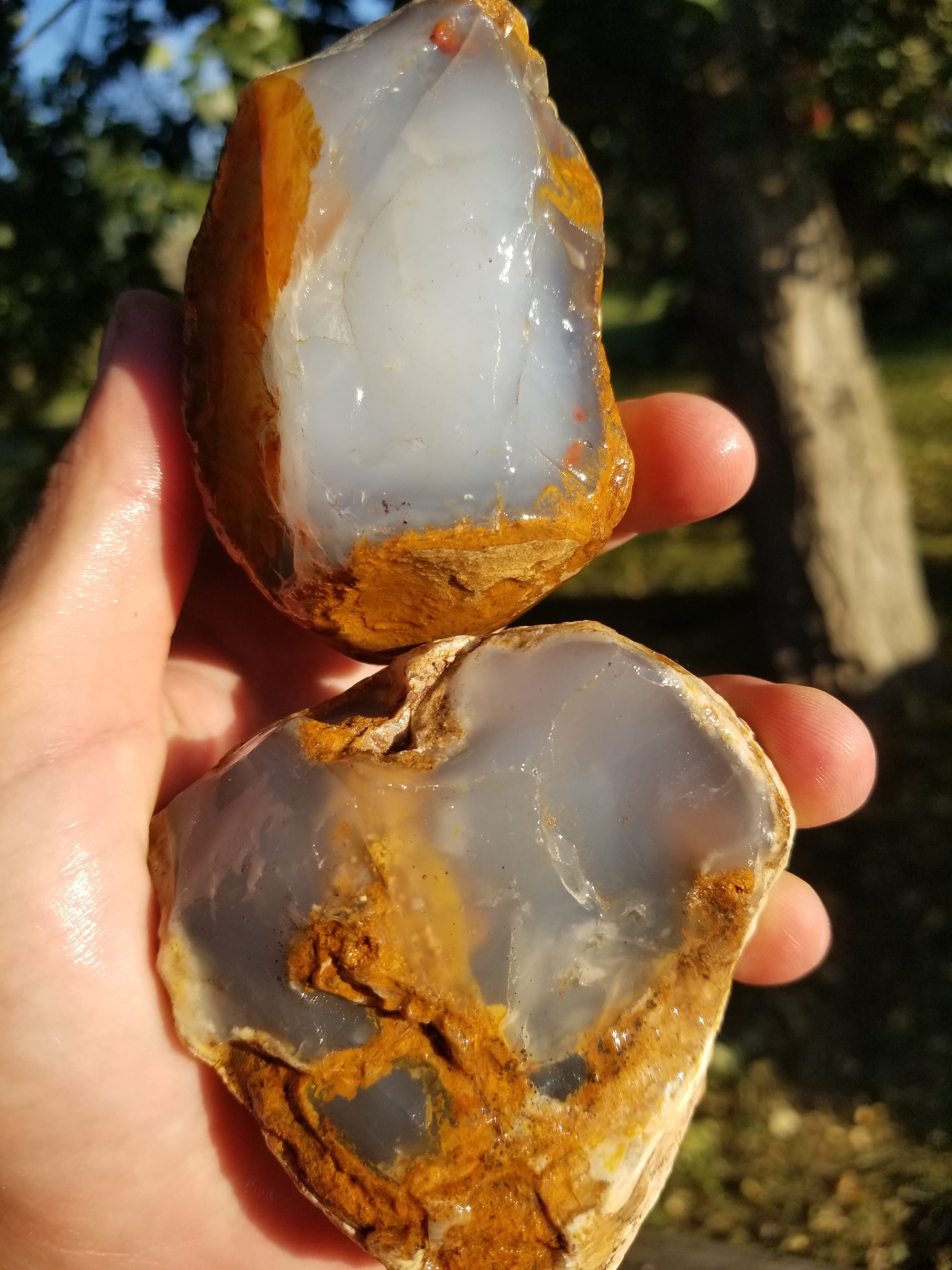 Incredible Sky Blue Chalcedony Rough Lot Turkey Gem Grade Quality Old Collection Lapidary 1.7Lb