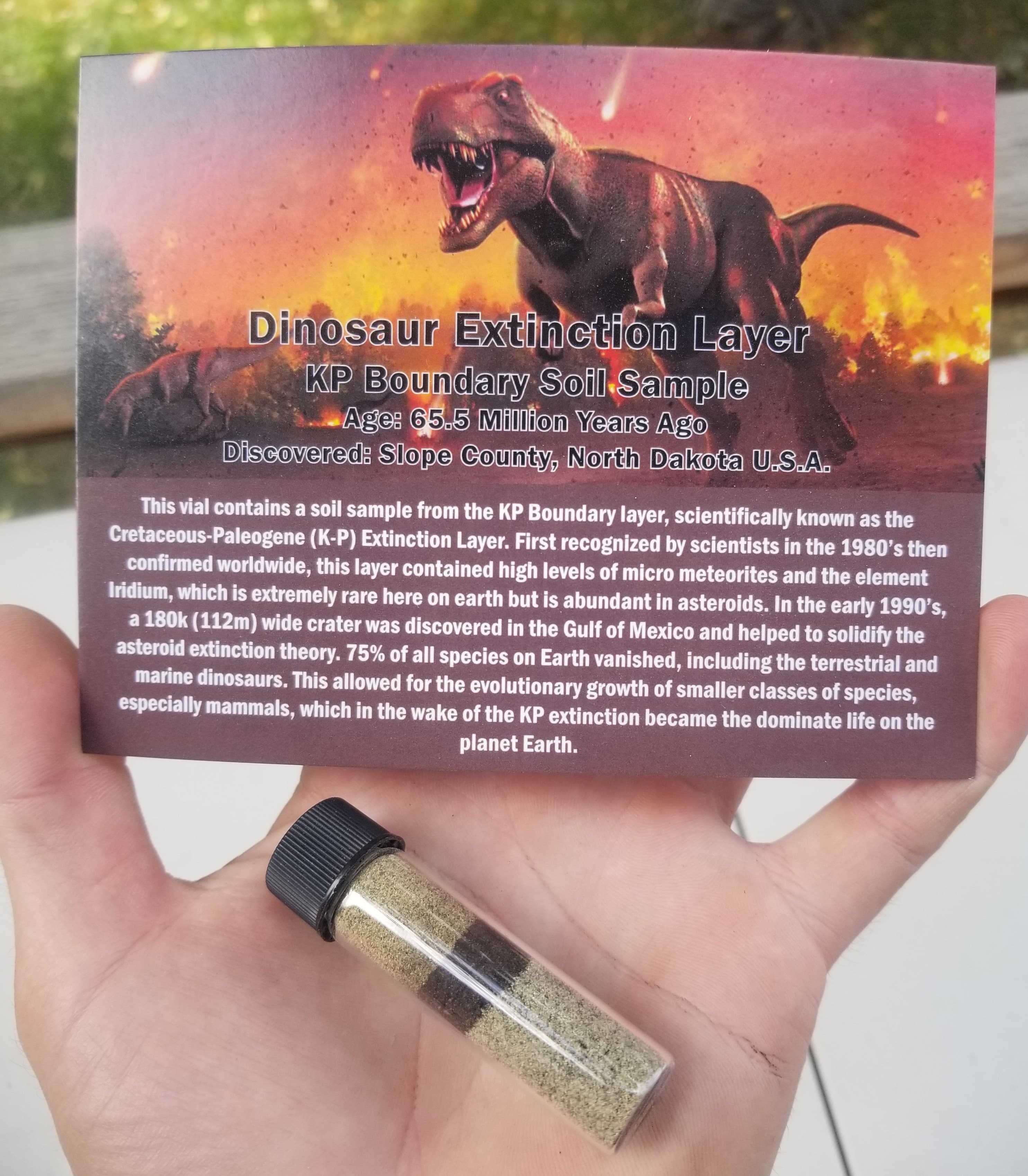 KP Boundary Soil Sample Vial - Dinosaur Extinction Layer 65 Million Years Ago