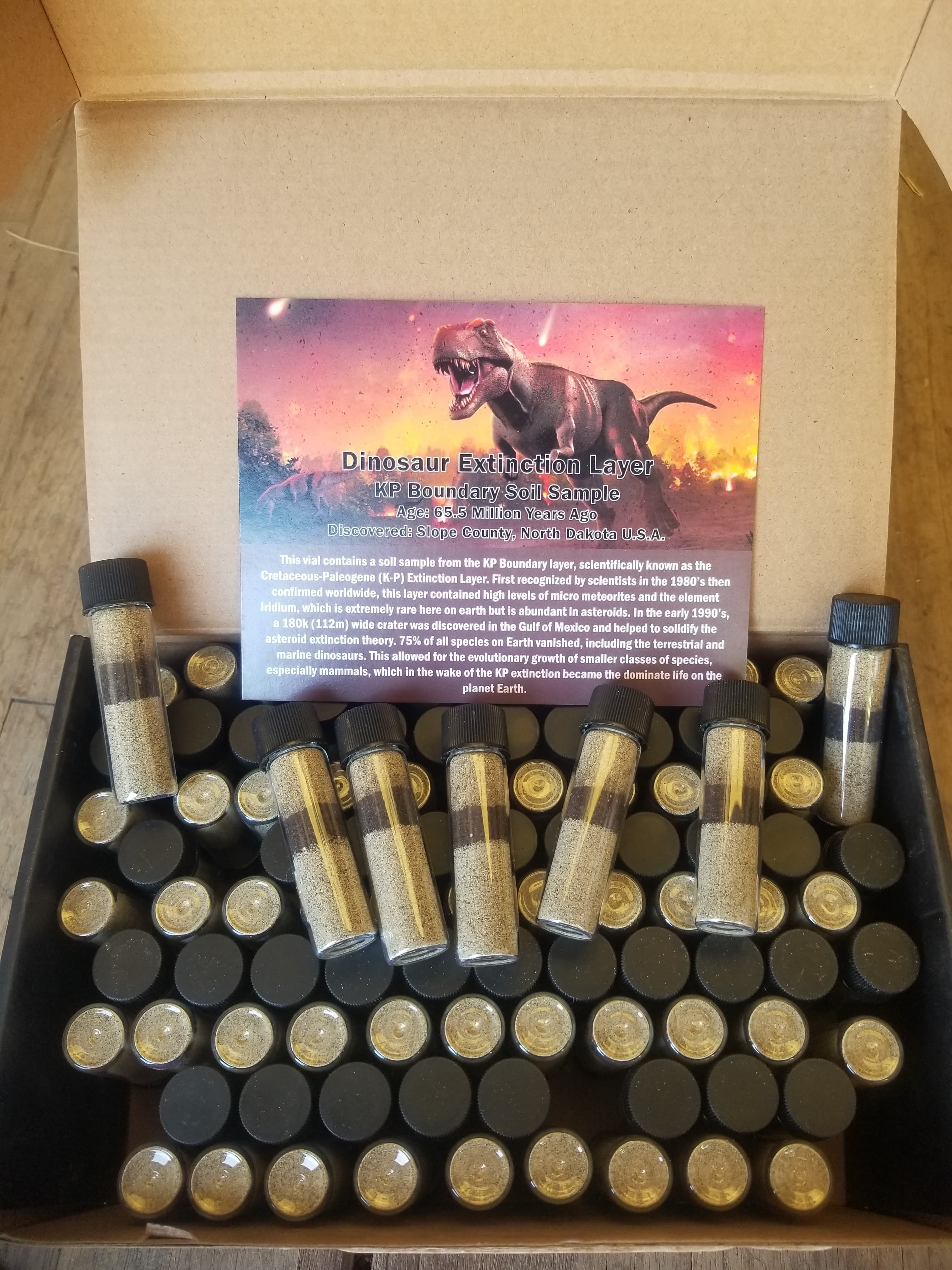 *Wholsale box of 100 - KP Boundary Soil Sample Vials - Dinosaur Extinction Layer 65 Million Years Ago