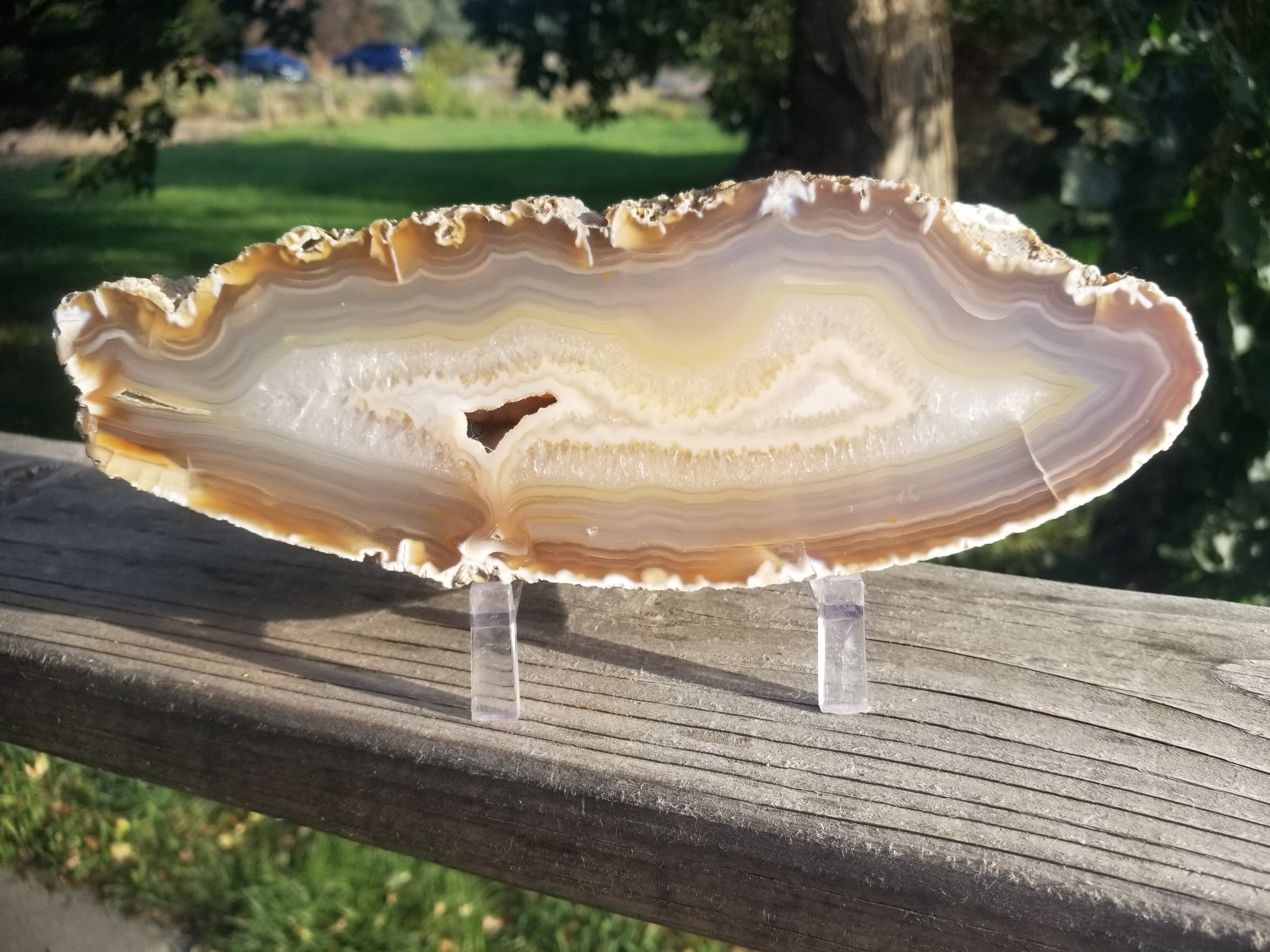 Nice Brazil Agate Slab Cut Polished Round Natural Beautiful Translucent Unique Decor