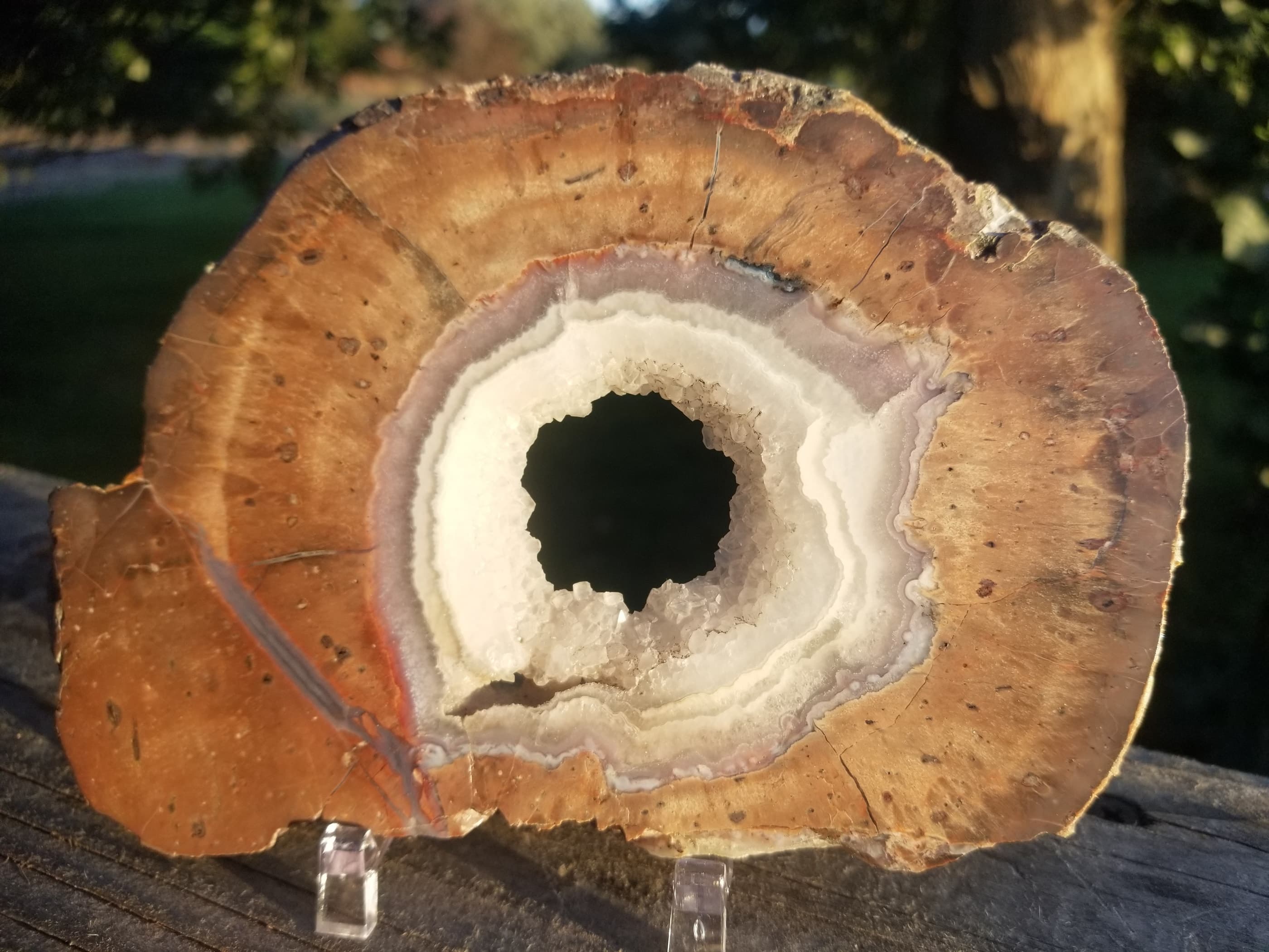 Large Polished Dugway Geode Slab Specimen Fortification Druzy 6x4"