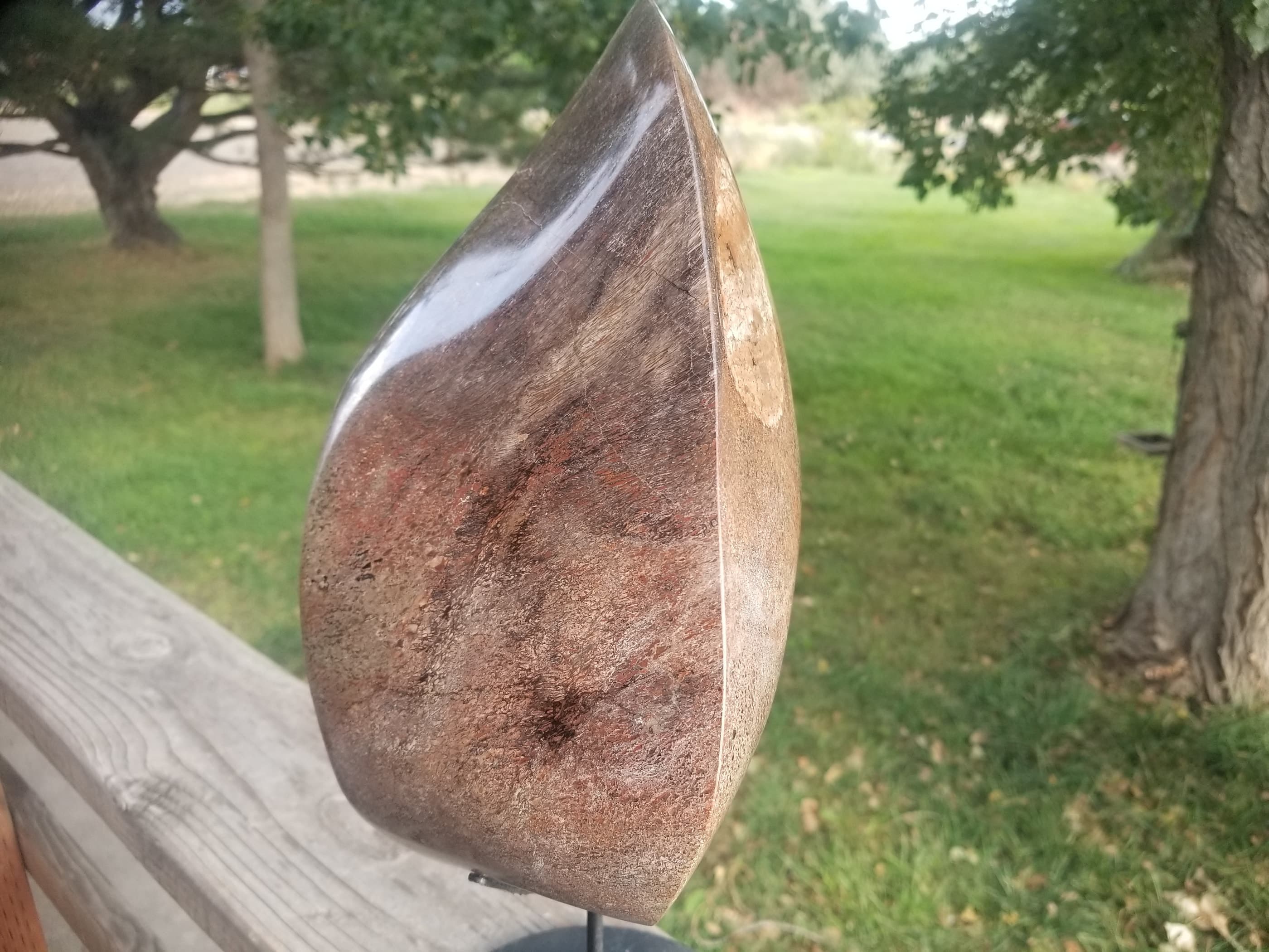 Great Unique Freeform Polished Intricate Cell Multicolor Agatized Jurassic Dinosaur Gem Bone Dark Webbing Pastels 1.5Lb