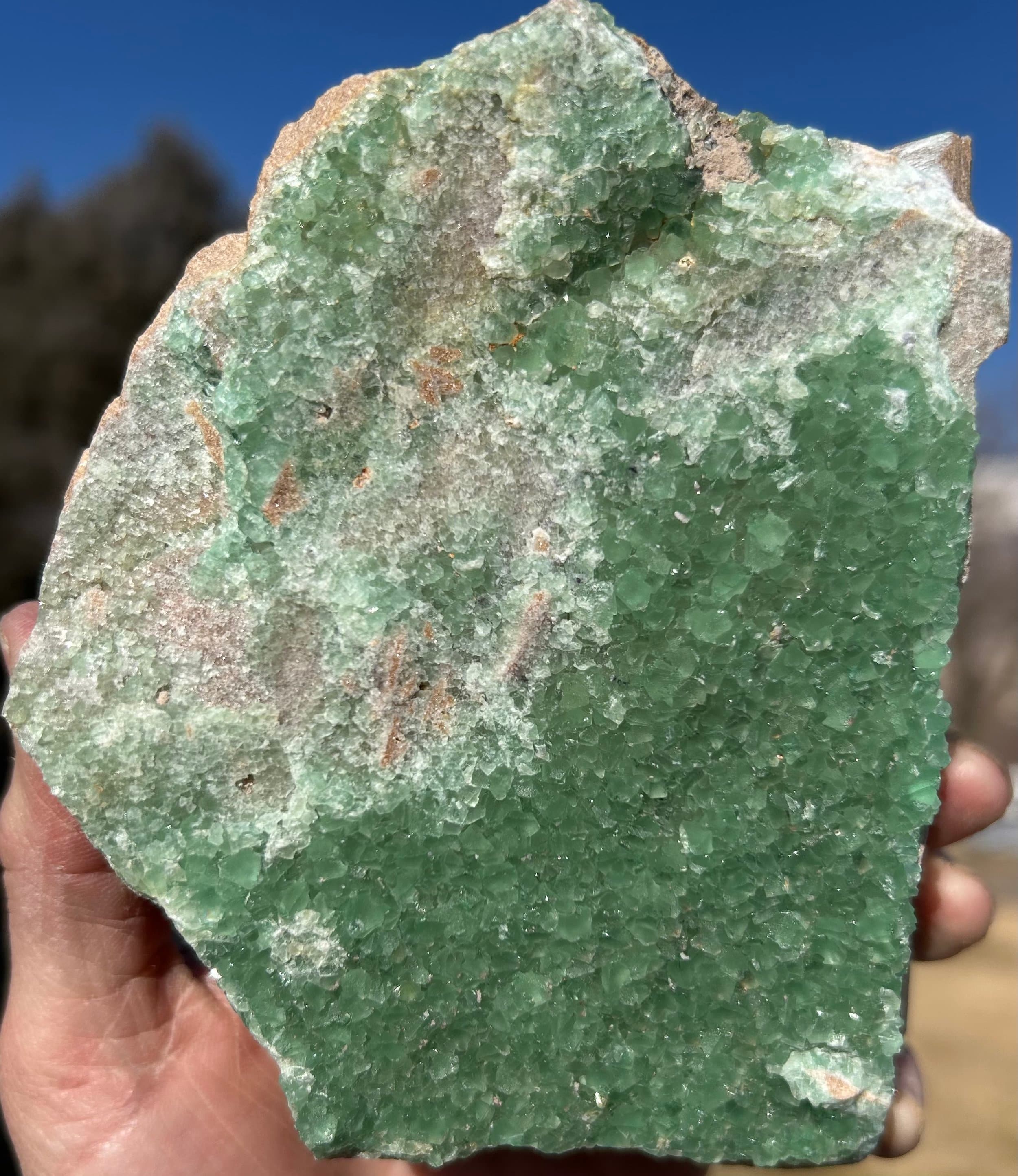 Large Rare Green Fluorite & Amethyst Specimen - Nancy Hanks Mine, CO