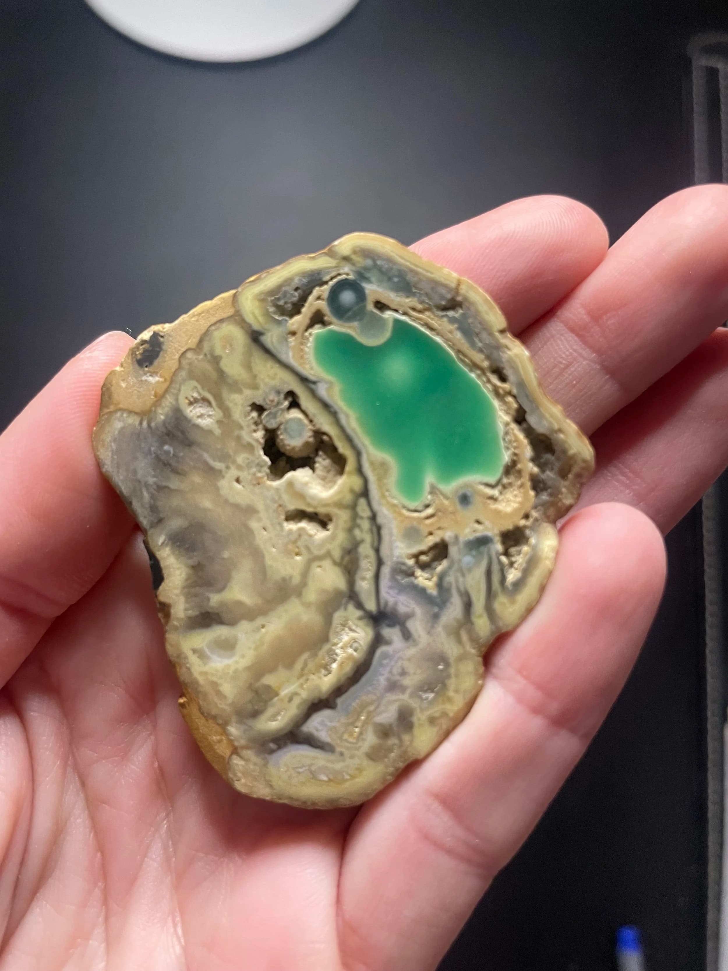 Rare Clay Canyon Variscite