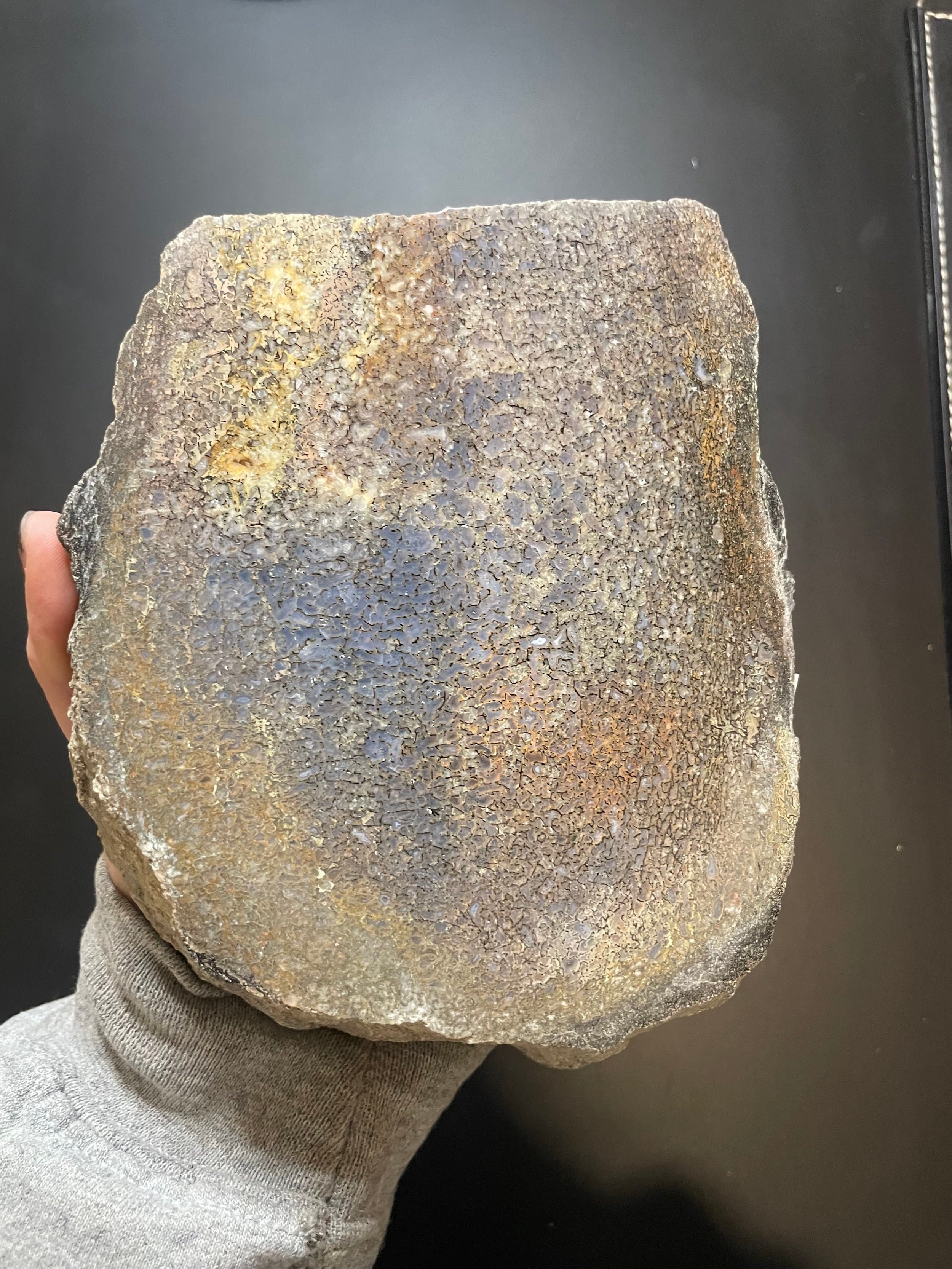 Nice Polished Agatized Dinosaur Gem Bone Specimen Multicolor End Cut Jurrasic 2.25Lb