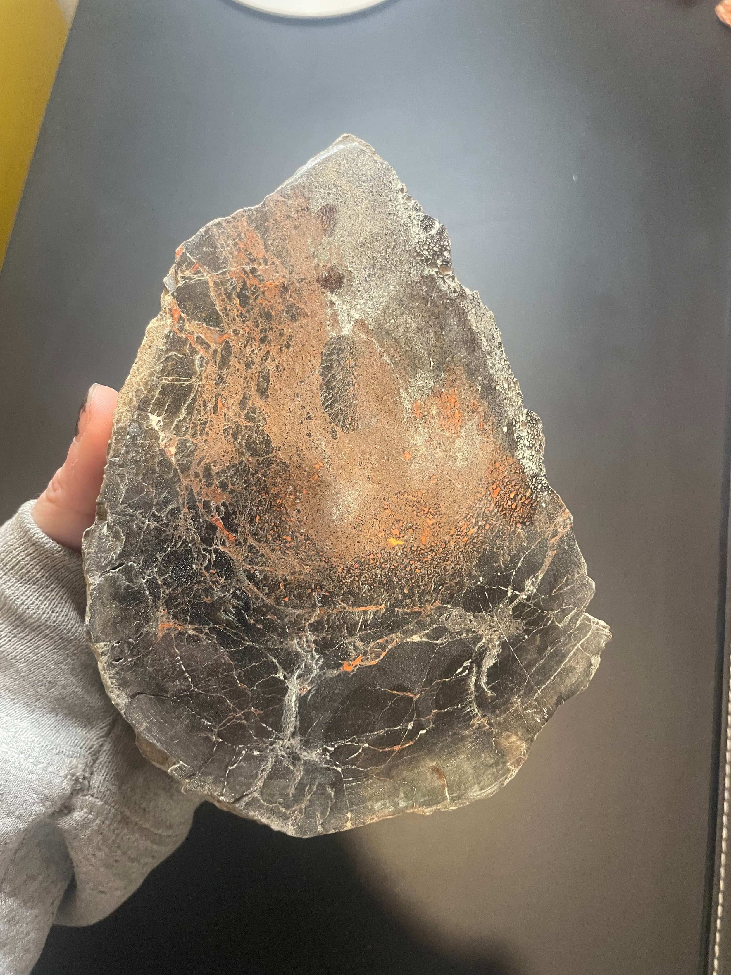 Nice Polished Dinosaur Gem Bone Specimen 3.7Lb - Jurrasic Agatized Dinosaur Bone