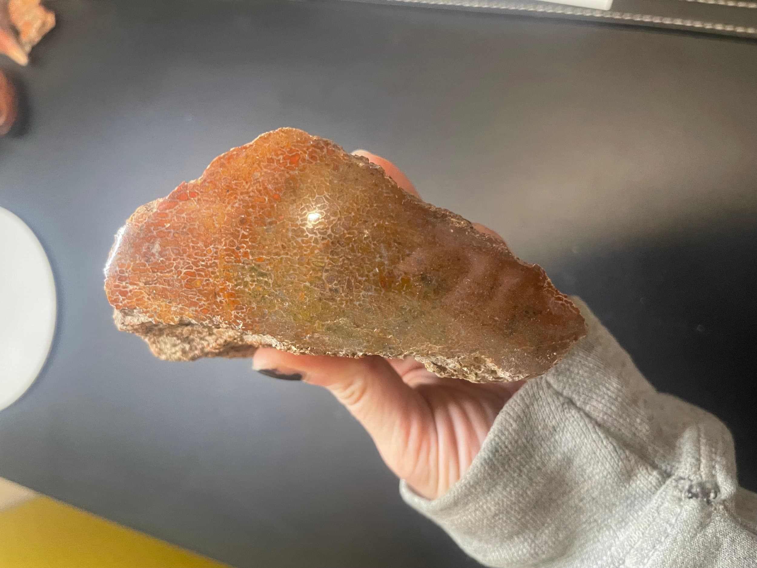 Nice Glassy Polished Dinosaur Gem Bone Specimen Multicolor 1Lb - Agatized Jurassic Dinosaur Bone
